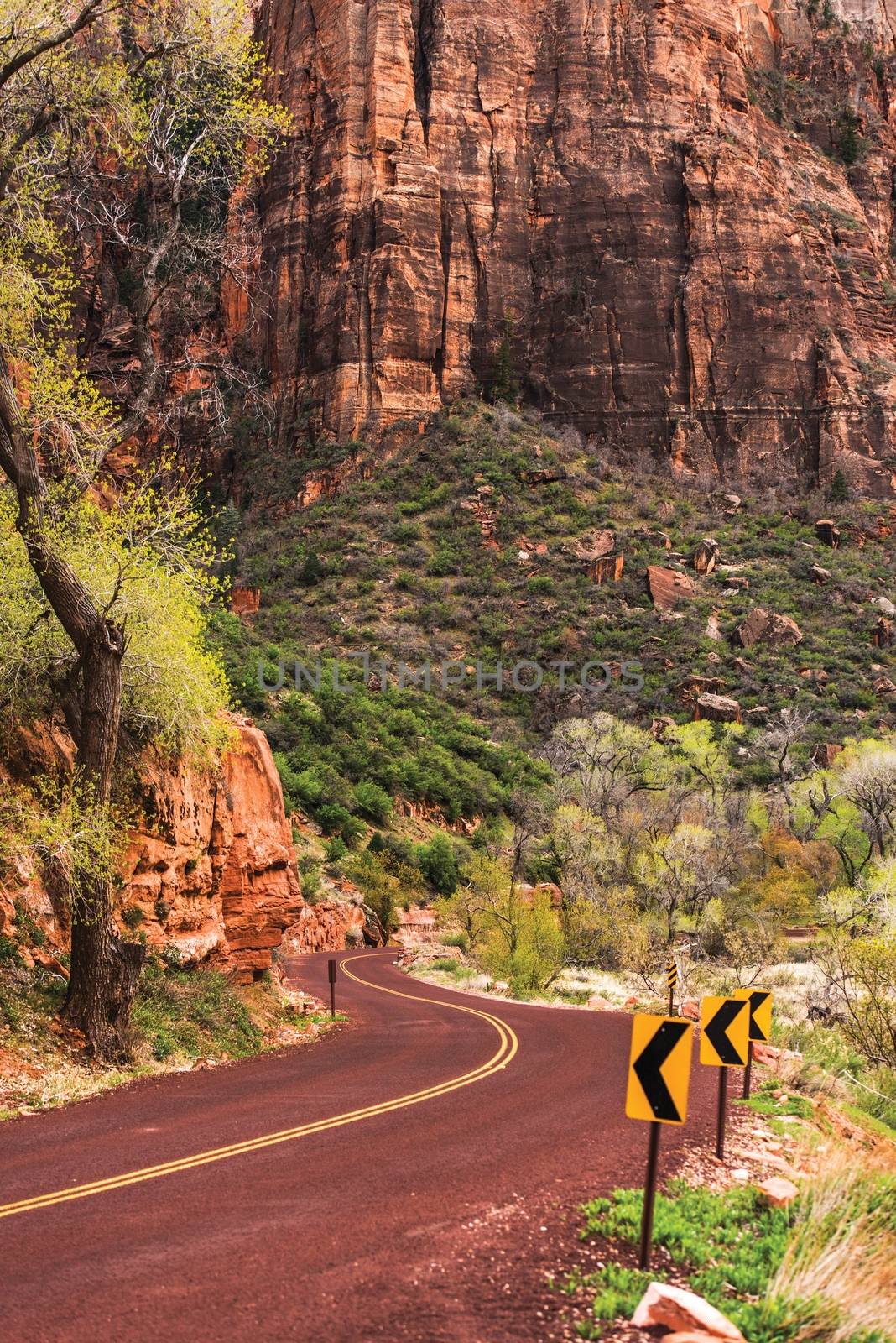 Utah Zion Scenic Road by welcomia