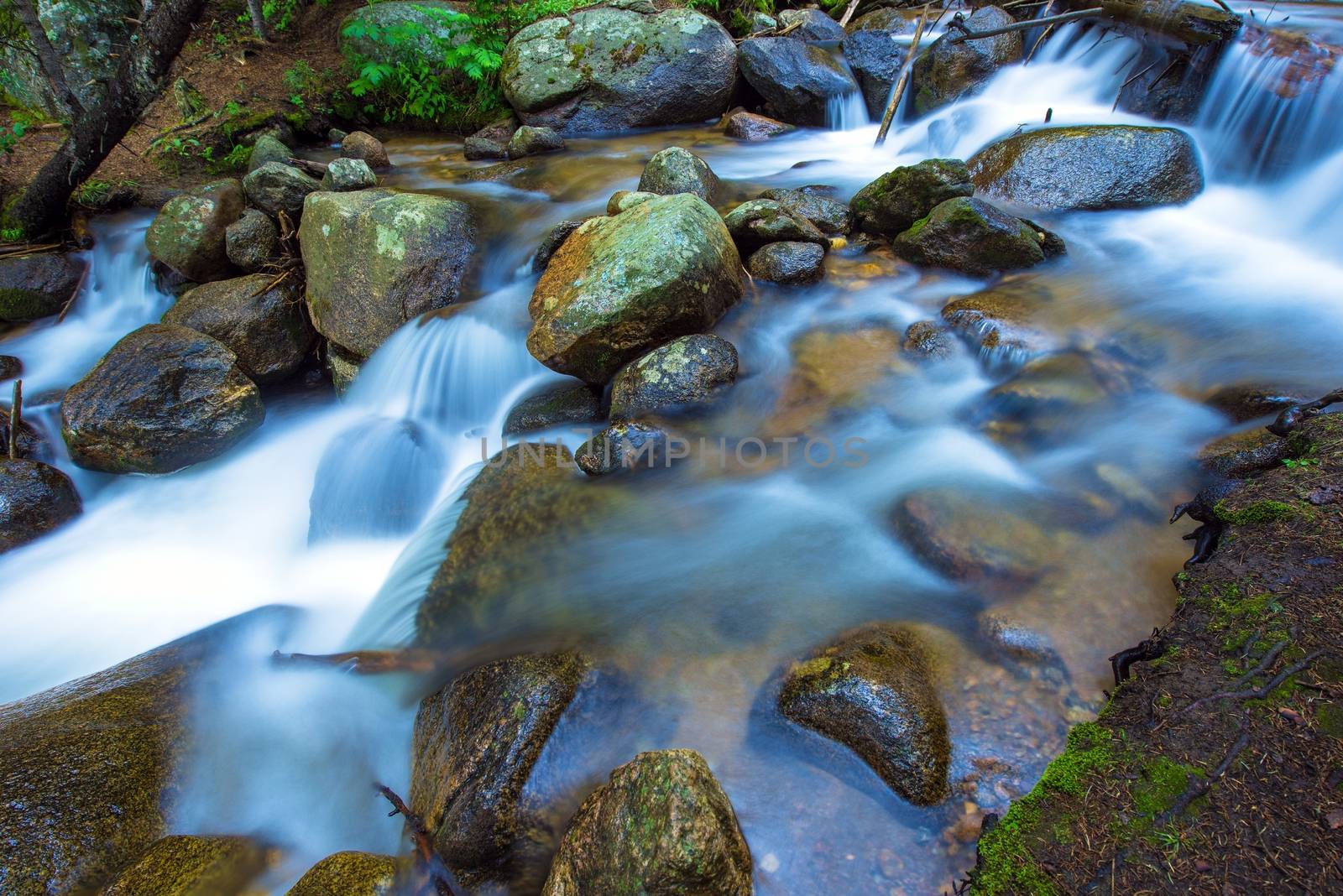 Mountain Rocky Stream Closeup Photo. Colorado Fauna and Flora.