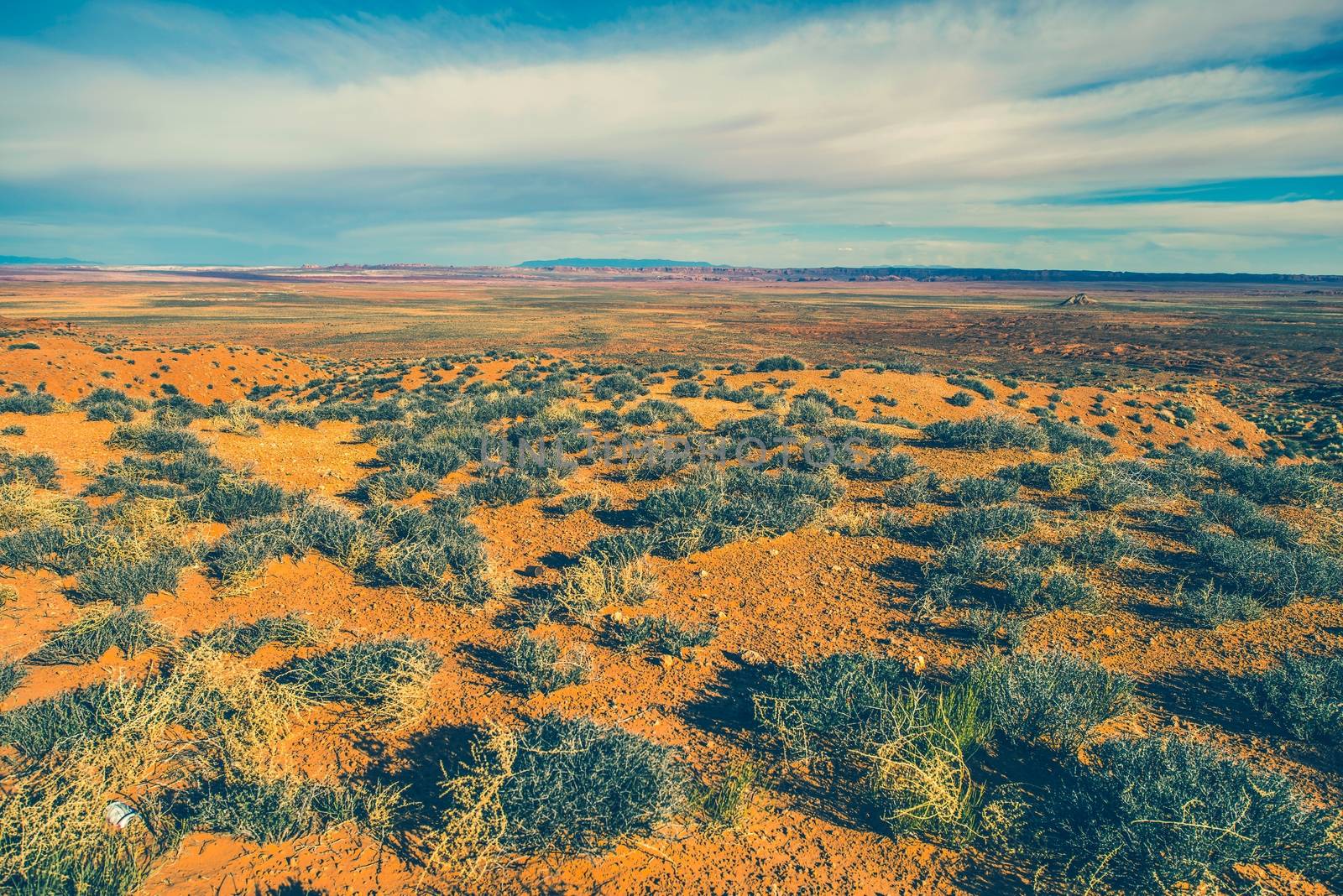 Raw Arizona Desert Landscape. Northern Arizona Lands. United States.