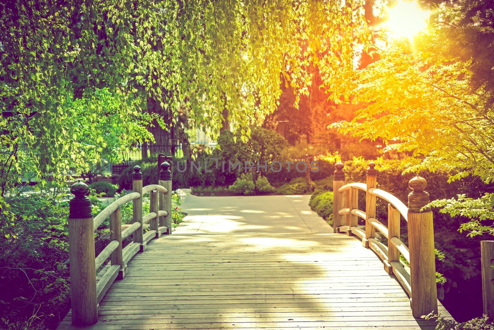 Scenic Garden Bridge at Sunset. Summer in the Garden.
