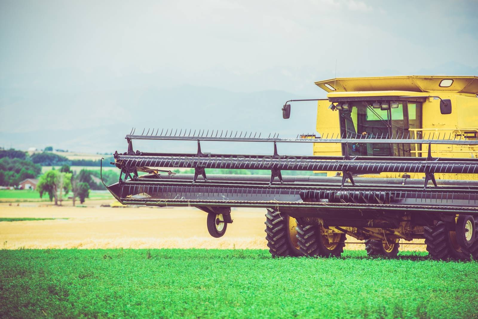 Agriculture Works. Yellow Harvester in Work. United States. Agriculture Technology.