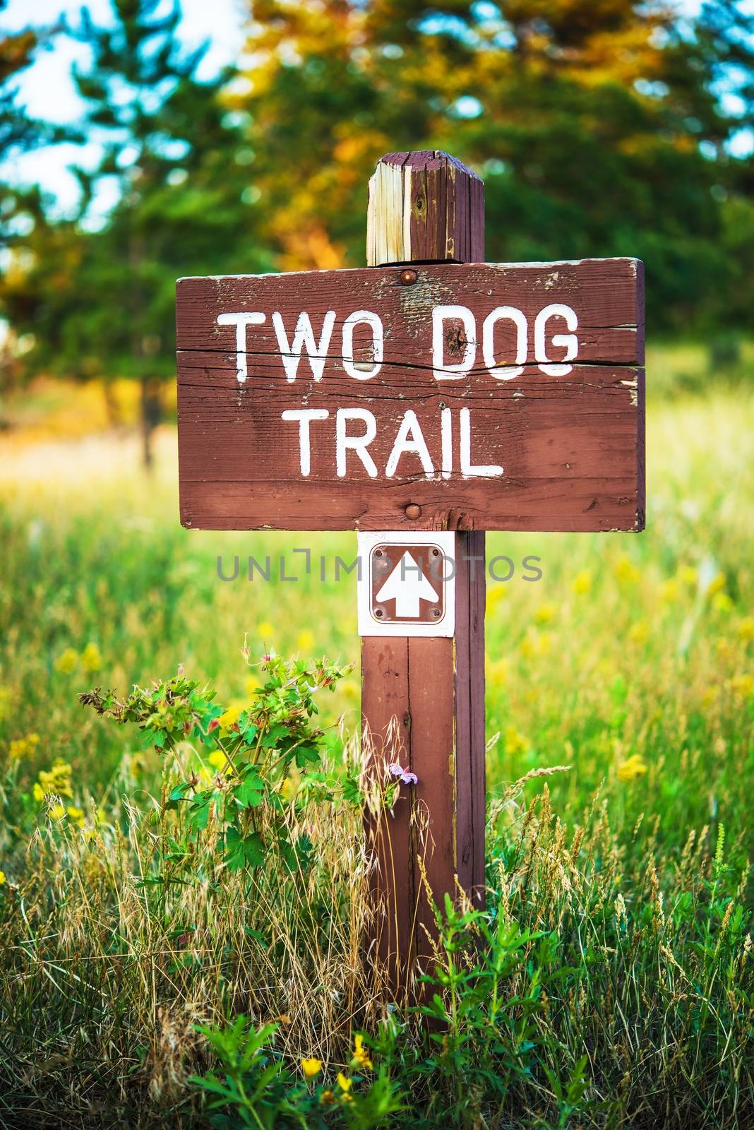 Mountain Trail Wooden Sign, Two Dog Trail Arrow. Colorado, United States.