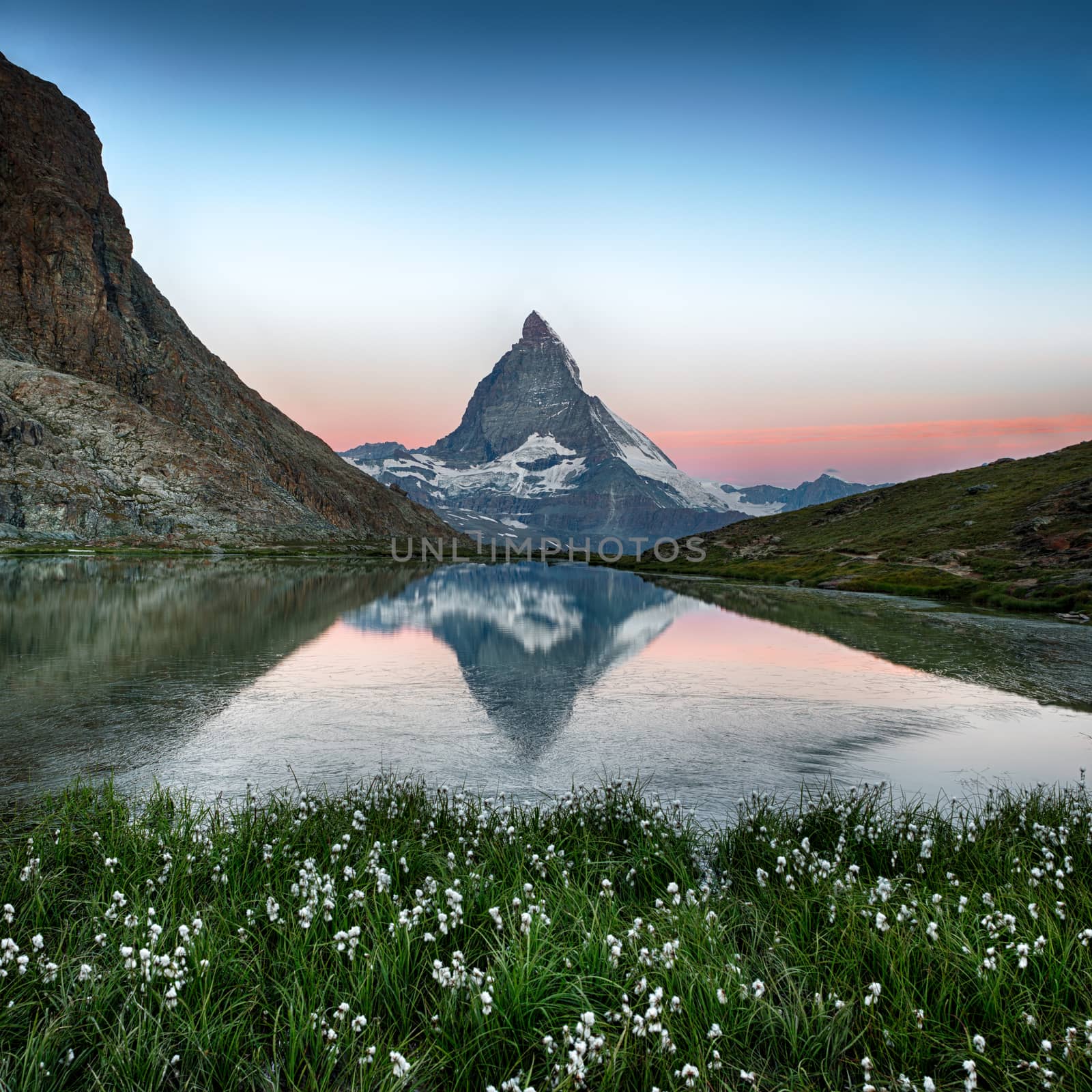 Matterhorn reflection in Riffelsee with flowers, Zermatt, Alps,  by fisfra