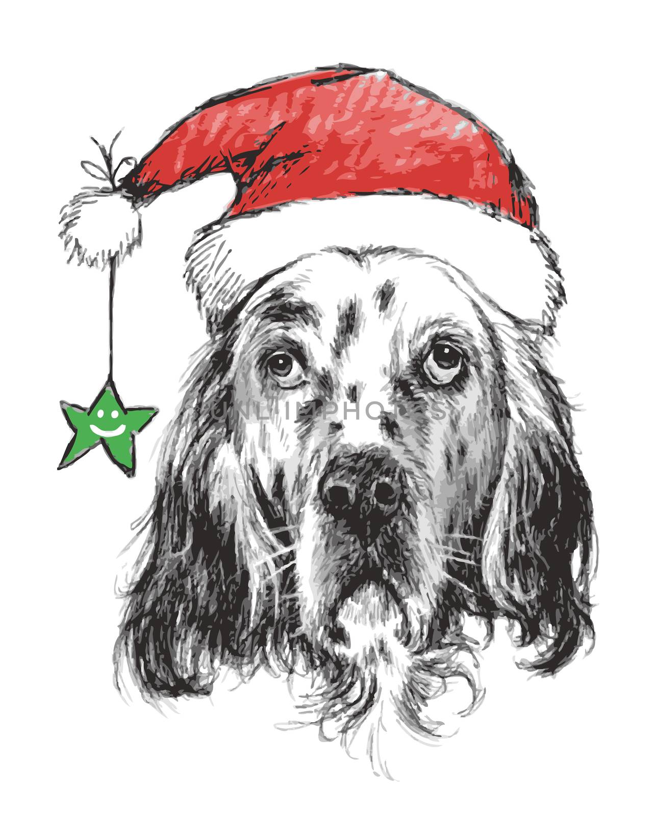 hand drawn vector of English setter with christmas hat on white background