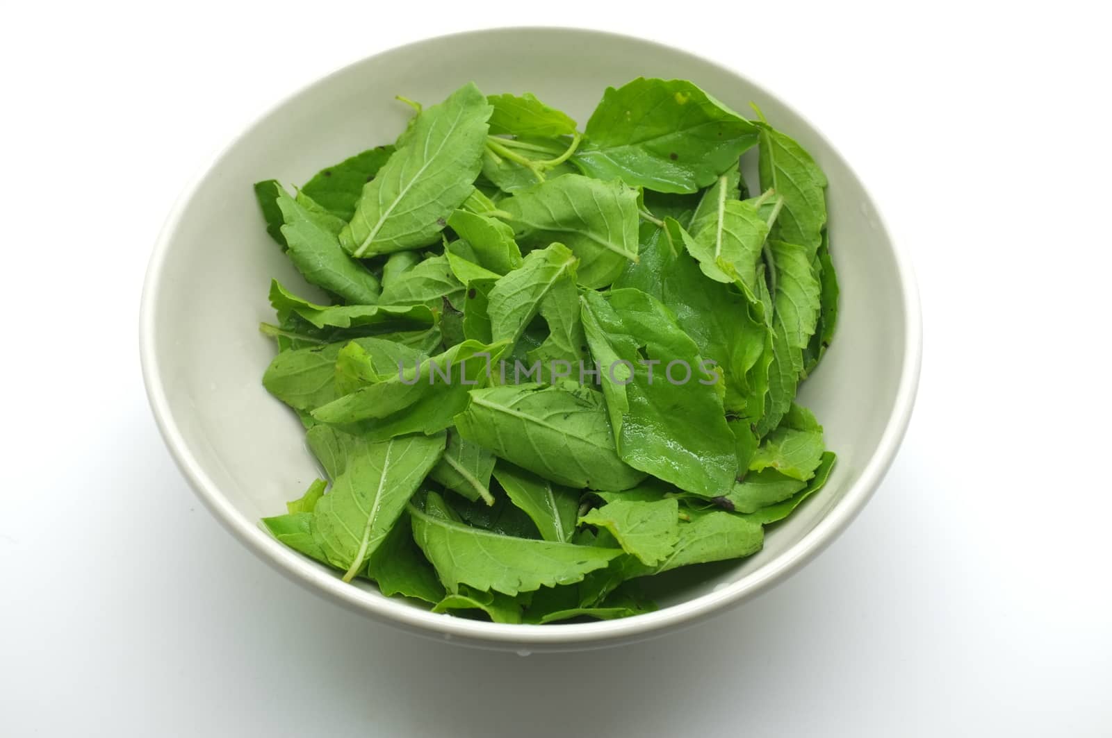 Basil leaves