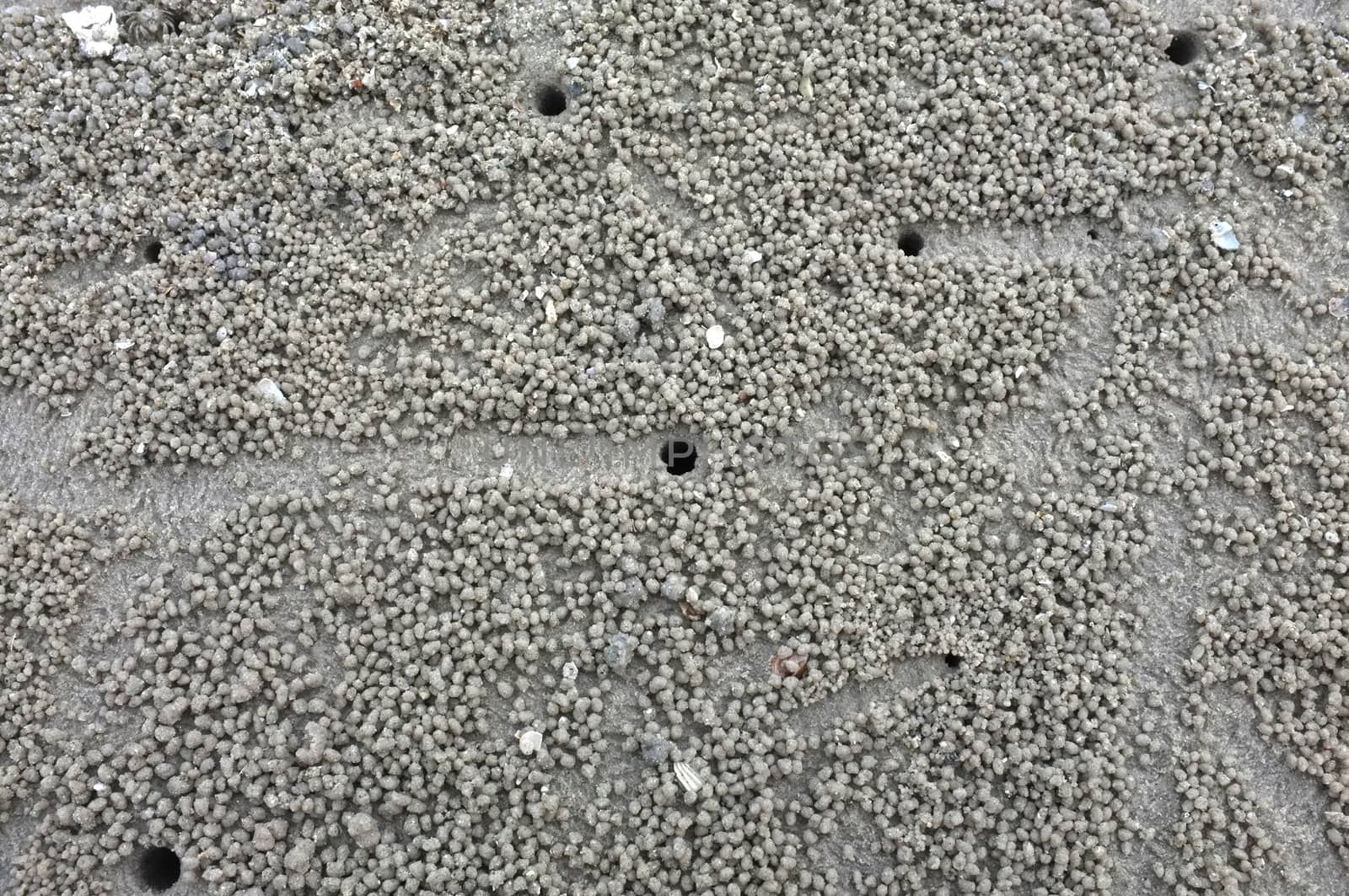 Texture of beach sand