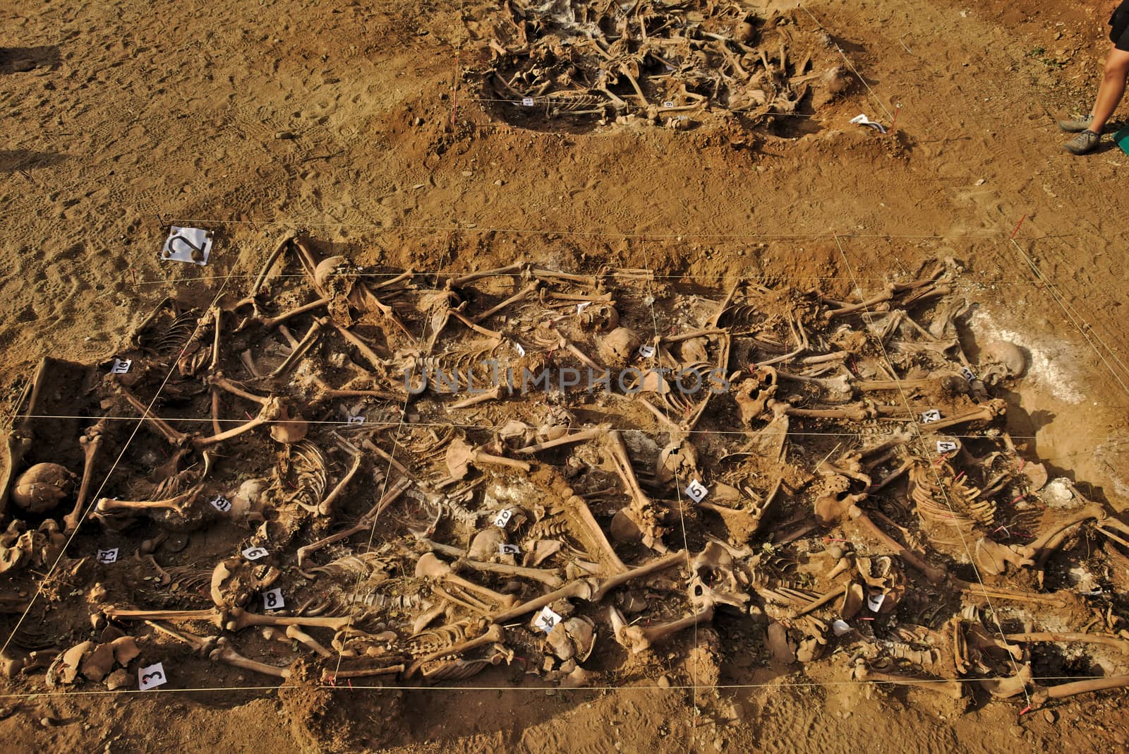 In 1936, just at the beginning of the Spanish Civil War, dozens of non-fascist citizens were carried from Burgos to mount Estepar. Over there, they were shot by a platoon of Franco's army and buried in a mass grave until 2014-2015.