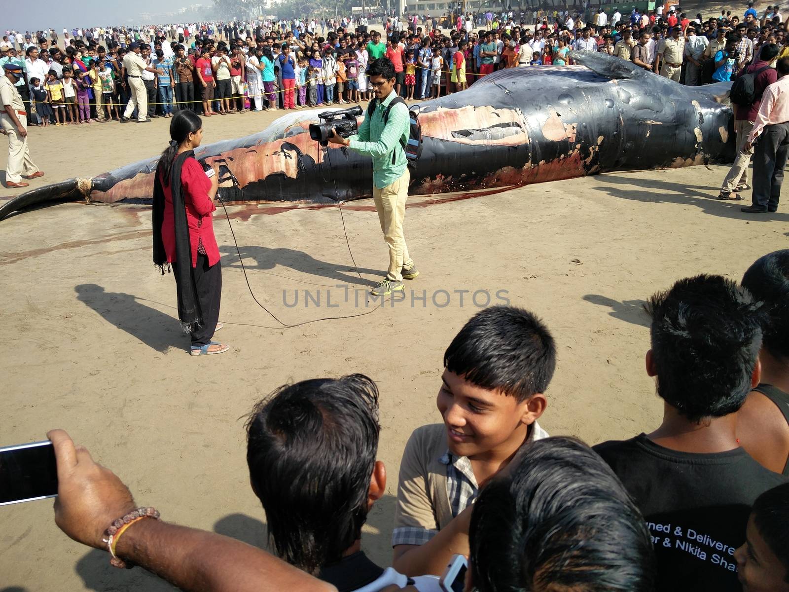 INDIA,Mumbai: Onlookers gather around a dead Bryde's Whale reportedly 35 ft long beached on the famous Juhu beach in Mumbai, on January 29, 2016.