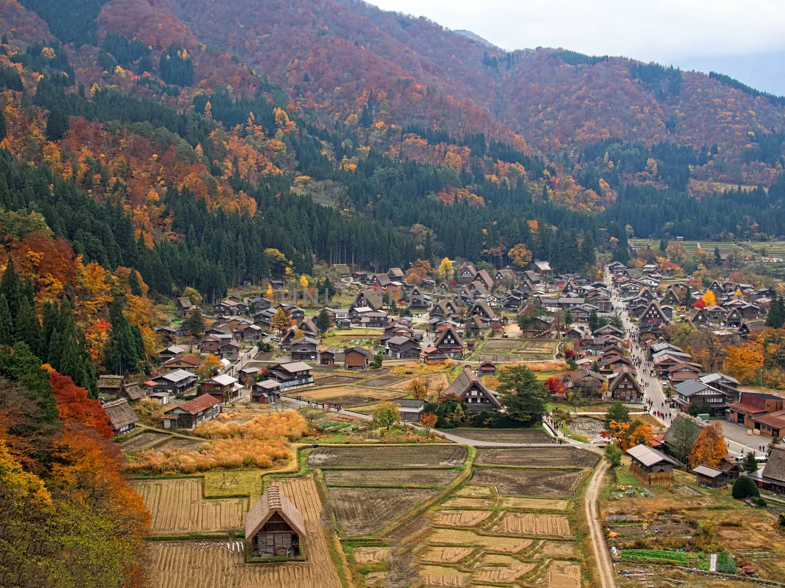 farmhouse at shirakawago by zkruger