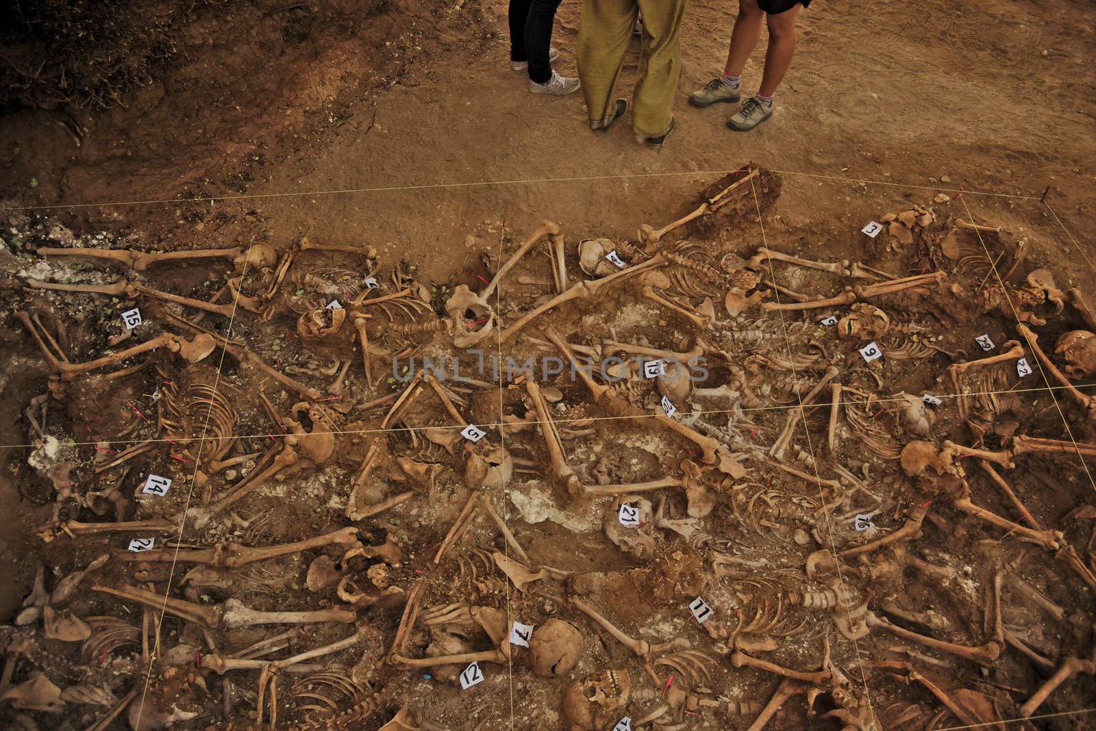 In 1936, just at the beginning of the Spanish Civil War, dozens of non-fascist citizens were carried from Burgos to mount Estepar. Over there, they were shot by a platoon of Franco's army and buried in a mass grave until 2014-2015.