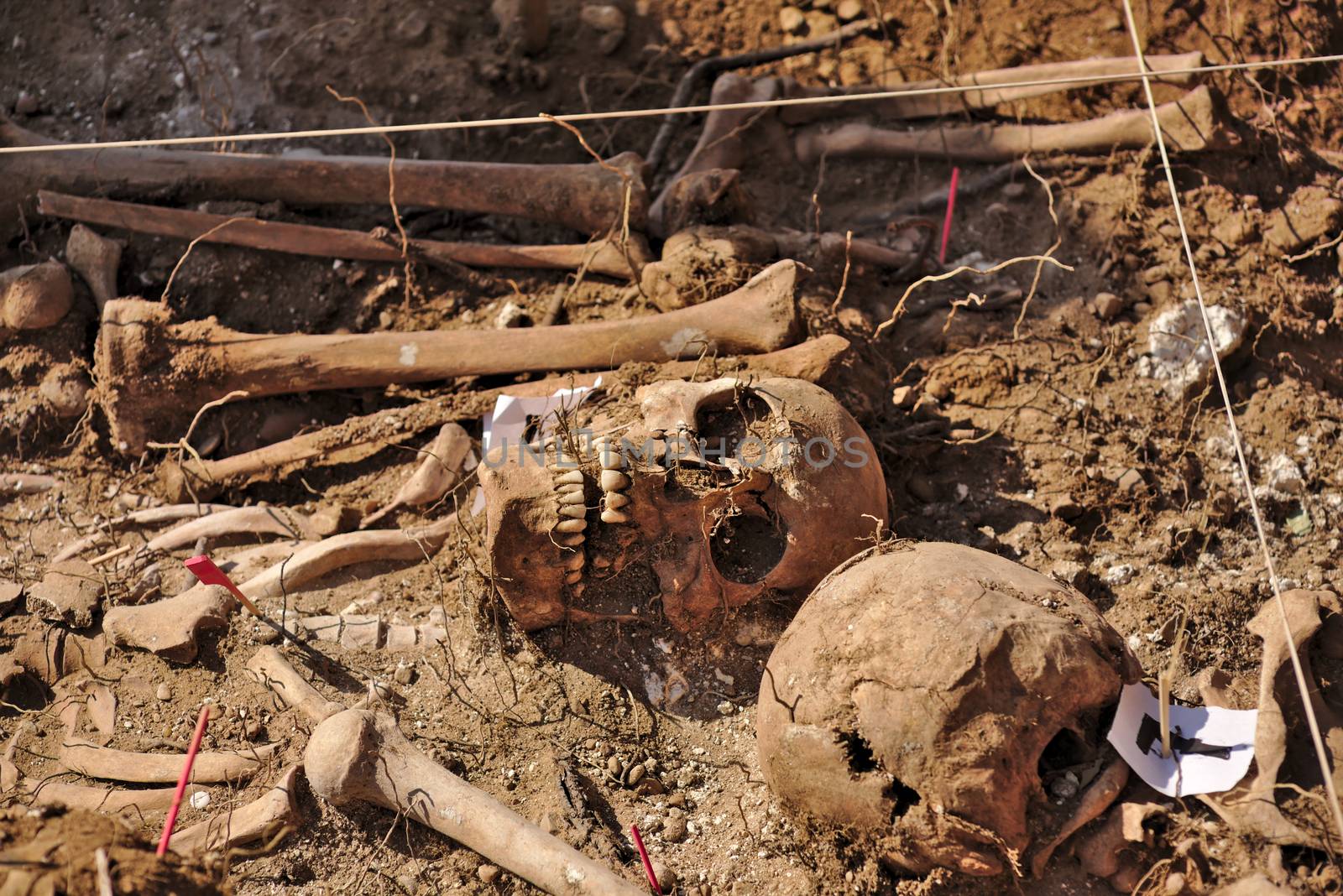 In 1936, just at the beginning of the Spanish Civil War, dozens of non-fascist citizens were carried from Burgos to mount Estepar. Over there, they were shot by a platoon of Franco's army and buried in a mass grave until 2014-2015.