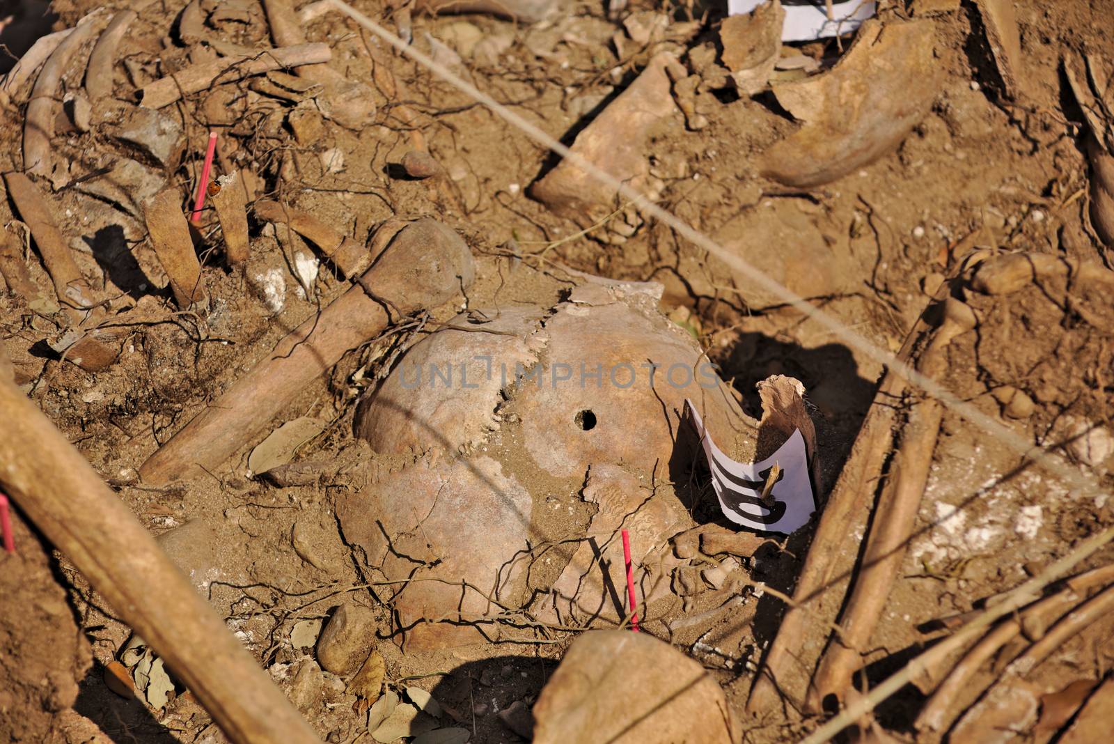 In 1936, just at the beginning of the Spanish Civil War, dozens of non-fascist citizens were carried from Burgos to mount Estepar. Over there, they were shot by a platoon of Franco's army and buried in a mass grave until 2014-2015.