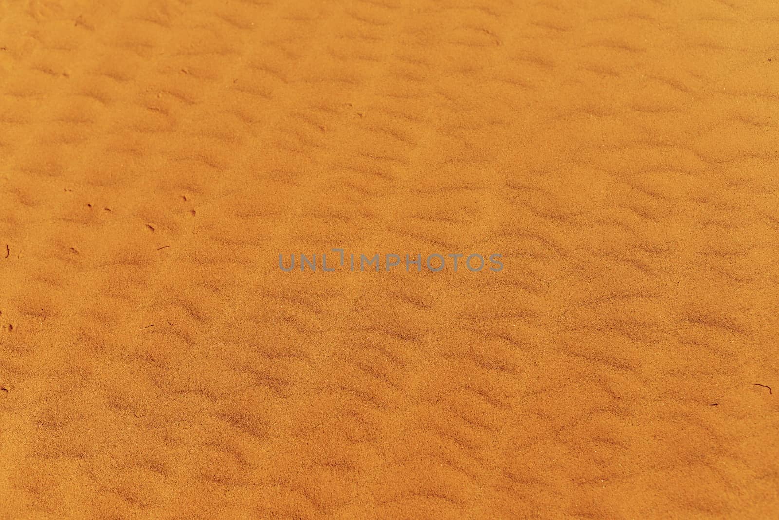 Desert background - Sahara in Morocco near to Merzouga