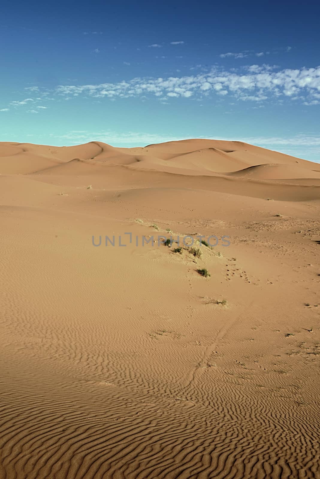 dry Sahara desert near Merzouga in Morocco