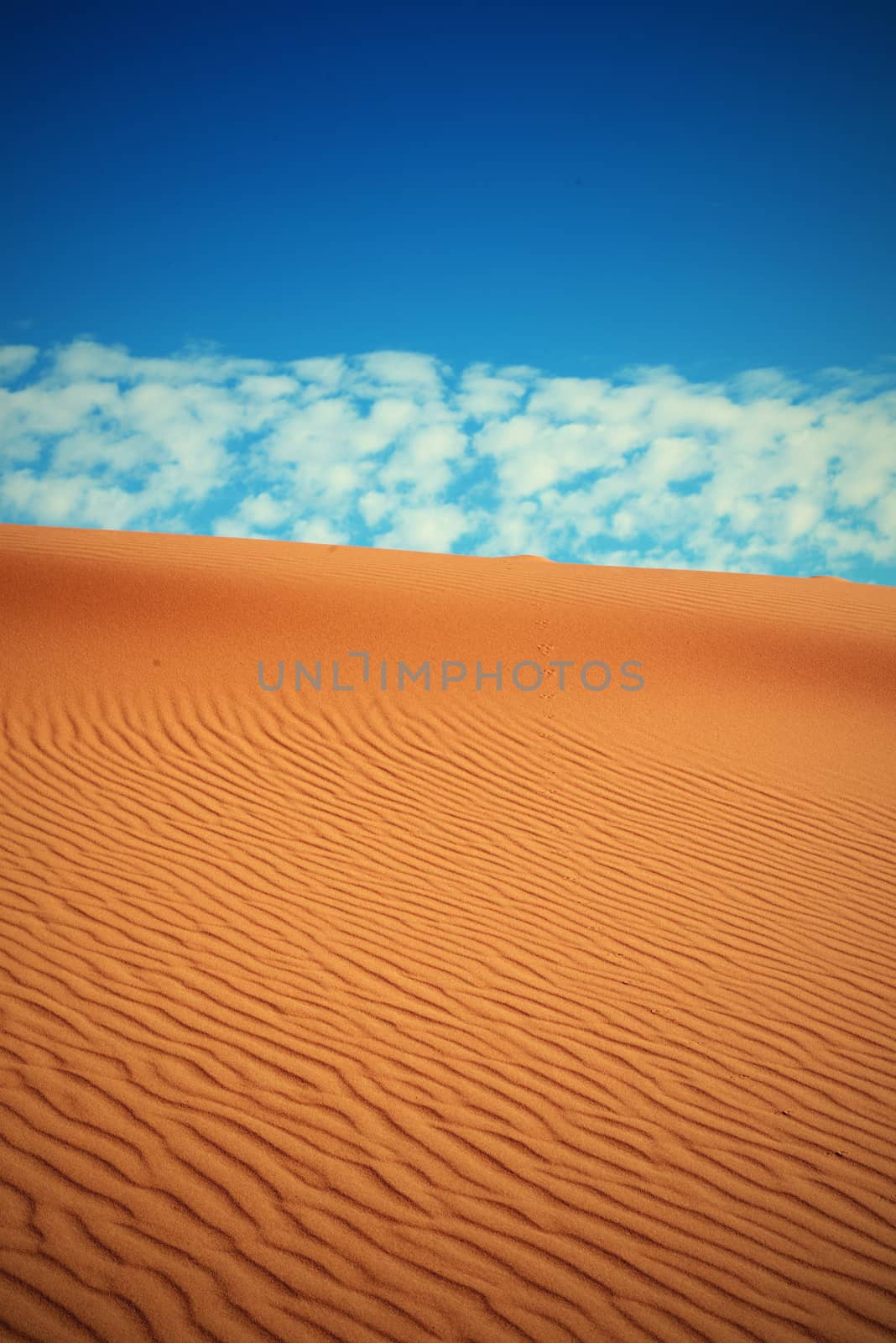 dry Sahara desert near Merzouga in Morocco
