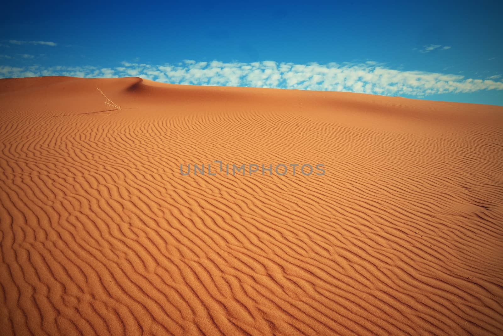 dry Sahara desert near Merzouga in Morocco