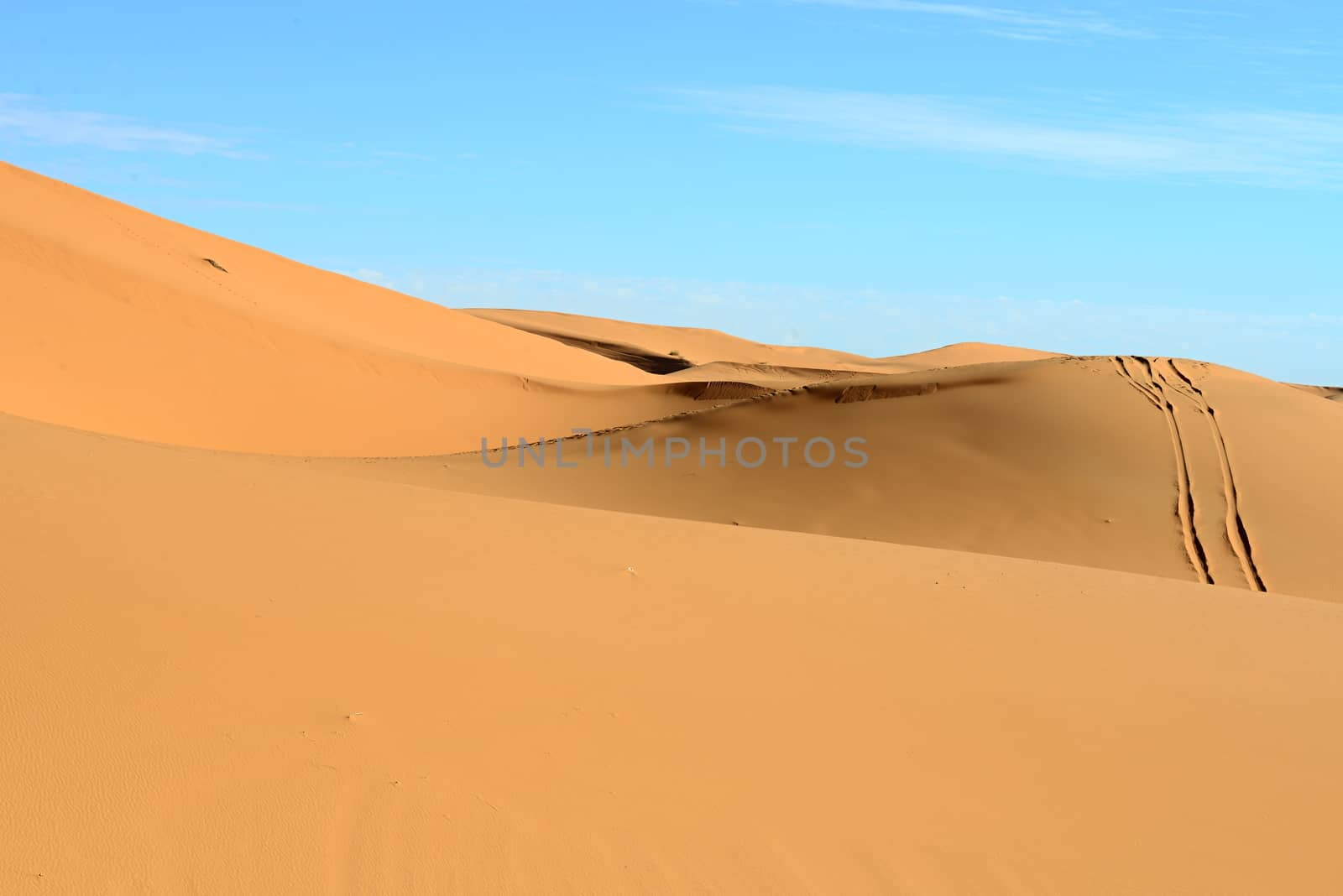 dry Sahara desert near Merzouga in Morocco