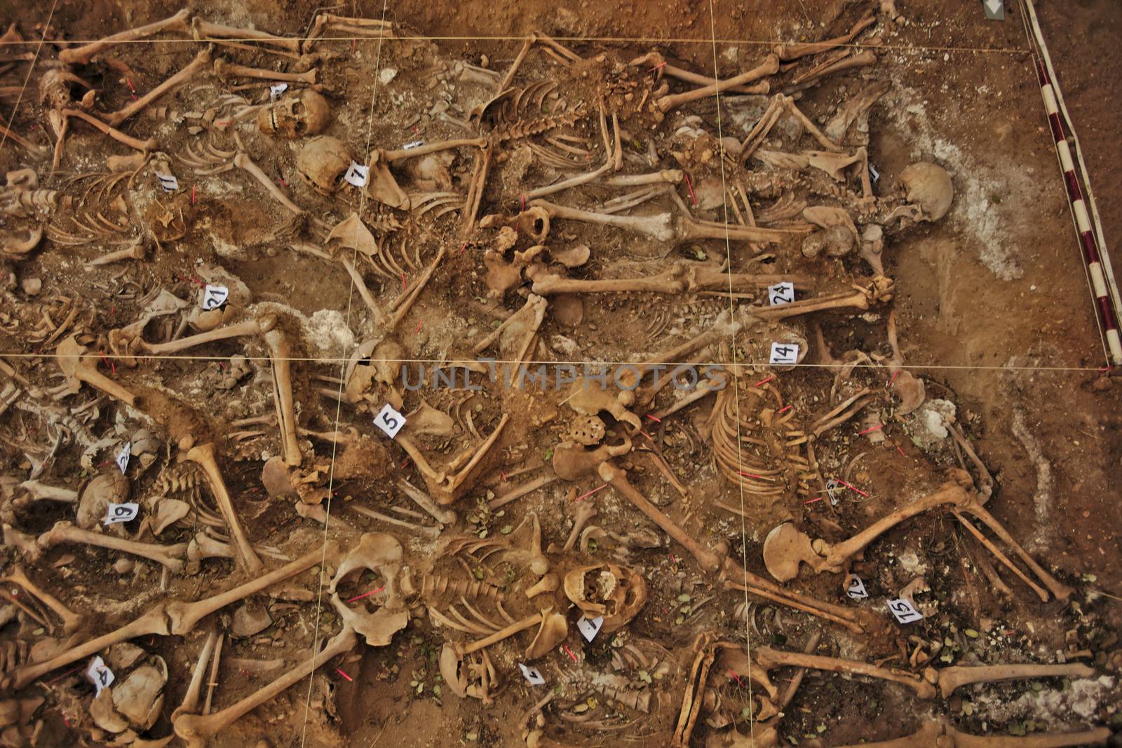 Mass grave of the Spanish Civil War (1936) by antecessor