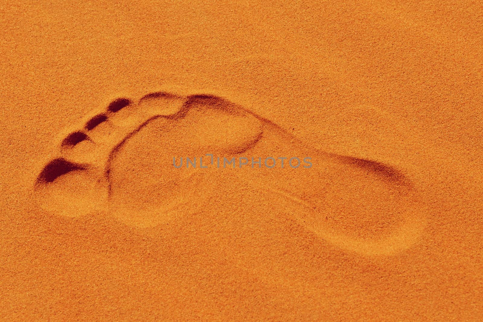 footsteps in Sahara in Morocco near Merzouga