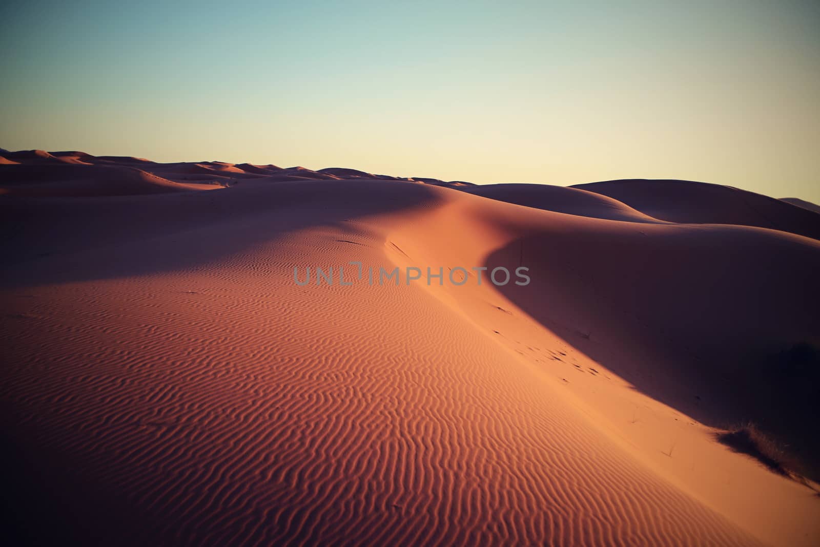 dry Sahara desert near Merzouga in Morocco