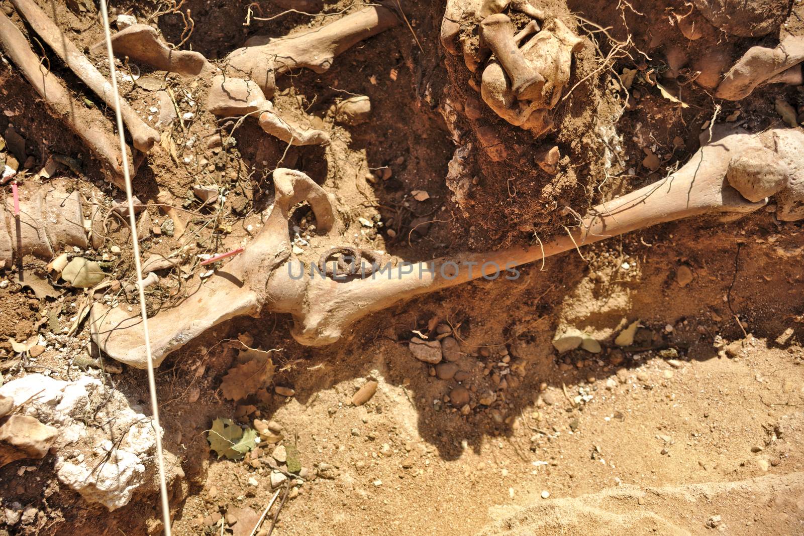 In 1936, just at the beginning of the Spanish Civil War, dozens of non-fascist citizens were carried from Burgos to mount Estepar. Over there, they were shot by a platoon of Franco's army and buried in a mass grave until 2014-2015.