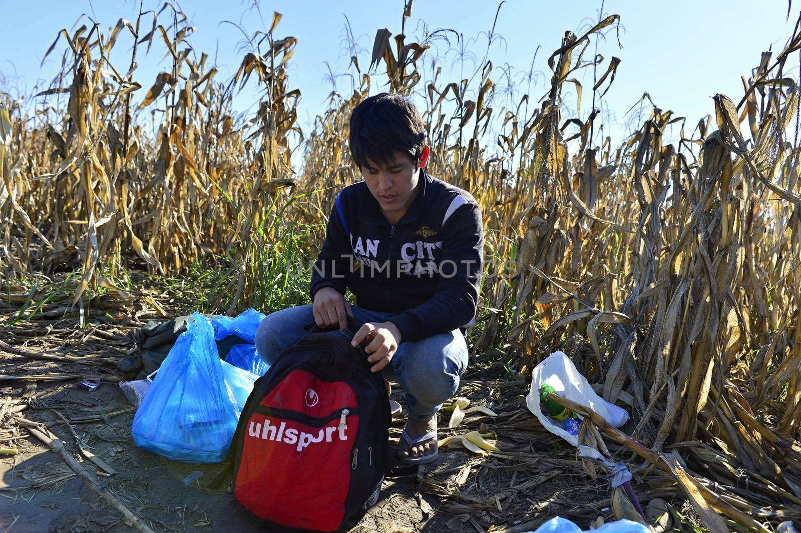 October 4, 2015; Bapska in Serbia. Group of refugees leaving Serbia. They came to Bapska by buses and then they leaving Serbia and go to Croatia and then to Germany. Many of them escapes from home because of civil war. 