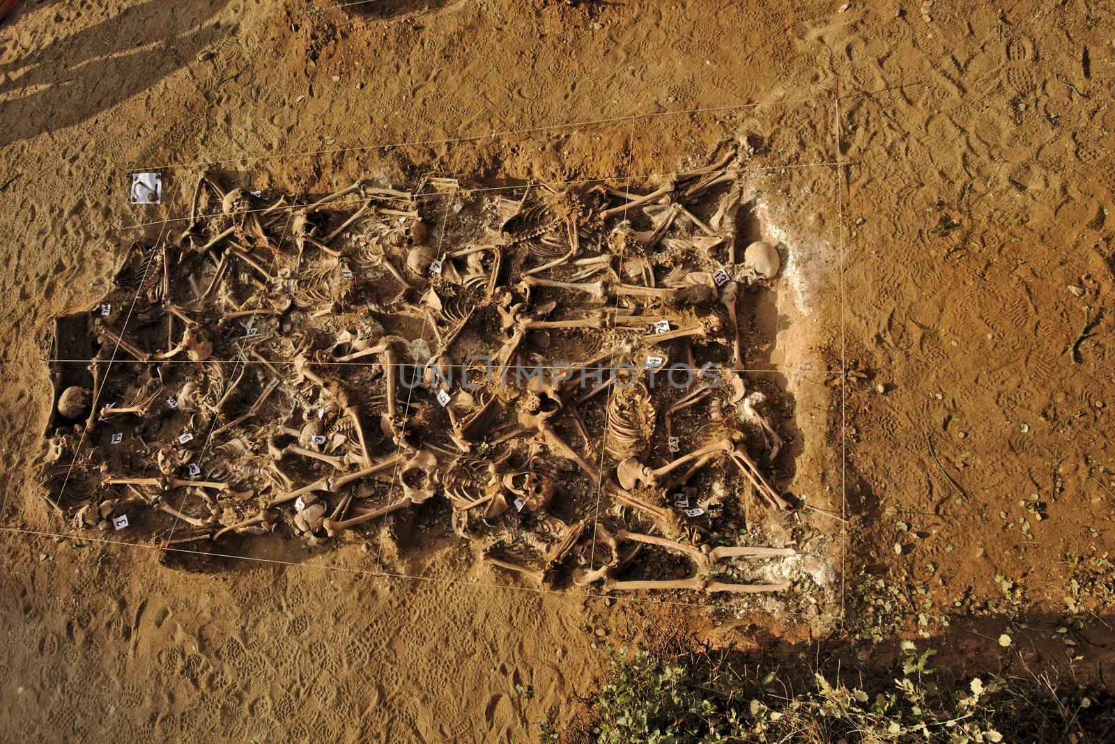 In 1936, just at the beginning of the Spanish Civil War, dozens of non-fascist citizens were carried from Burgos to mount Estepar. Over there, they were shot by a platoon of Franco's army and buried in a mass grave until 2014-2015.