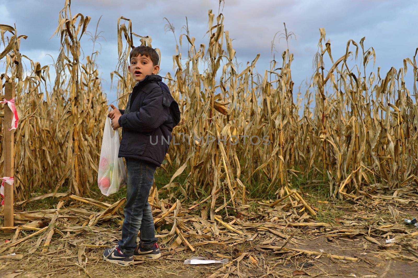 October 4, 2015; Bapska in Serbia. Group of refugees leaving Serbia. They came to Bapska by buses and then they leaving Serbia and go to Croatia and then to Germany. Many of them escapes from home because of civil war. 
