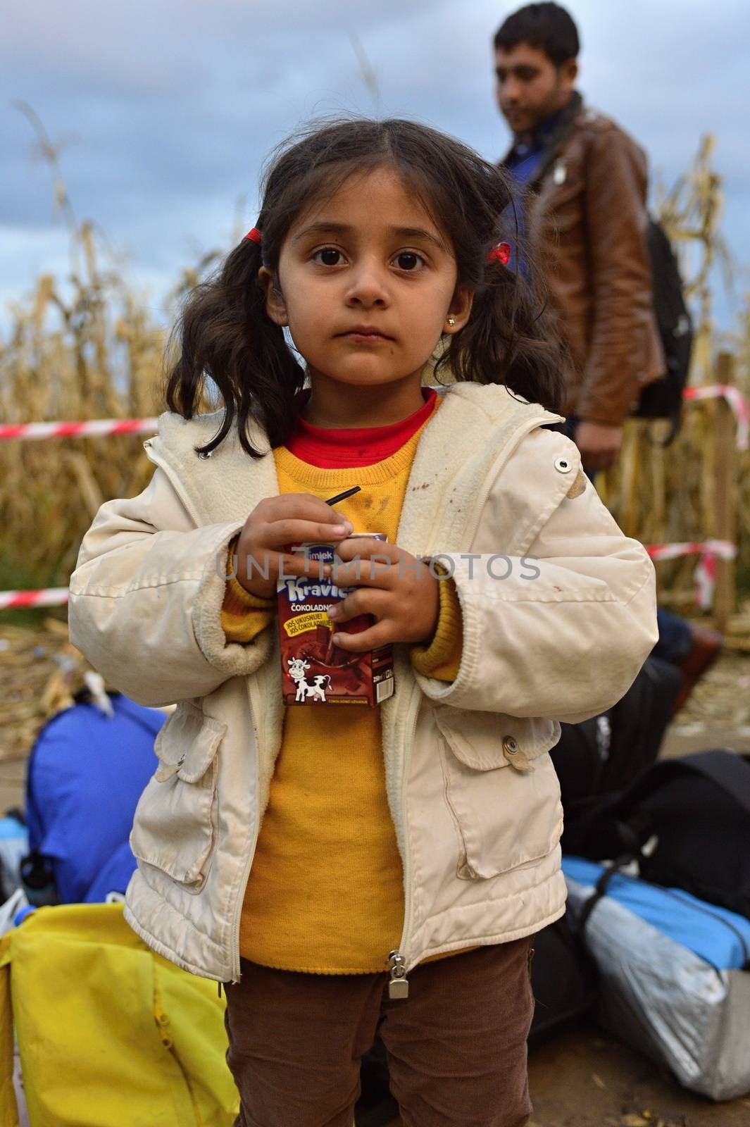 October 4, 2015; Bapska in Serbia. Group of refugees leaving Serbia. They came to Bapska by buses and then they leaving Serbia and go to Croatia and then to Germany. Many of them escapes from home because of civil war. 