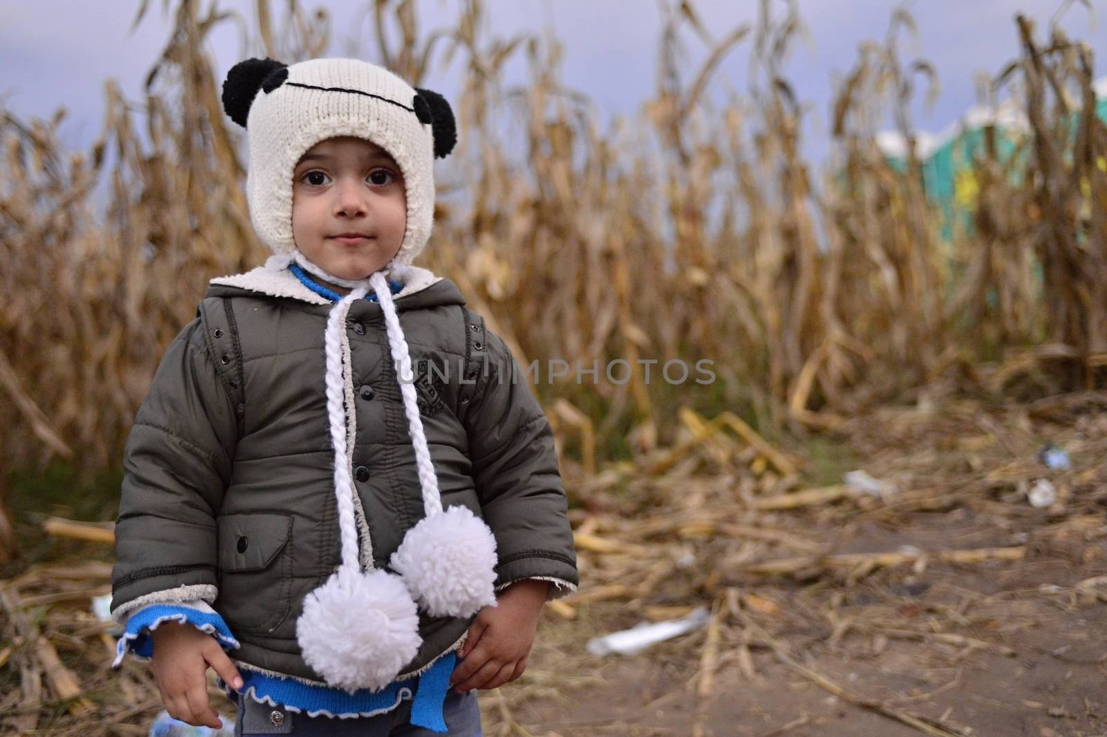 October 4, 2015; Bapska in Serbia. Group of refugees leaving Serbia. They came to Bapska by buses and then they leaving Serbia and go to Croatia and then to Germany. Many of them escapes from home because of civil war. 
