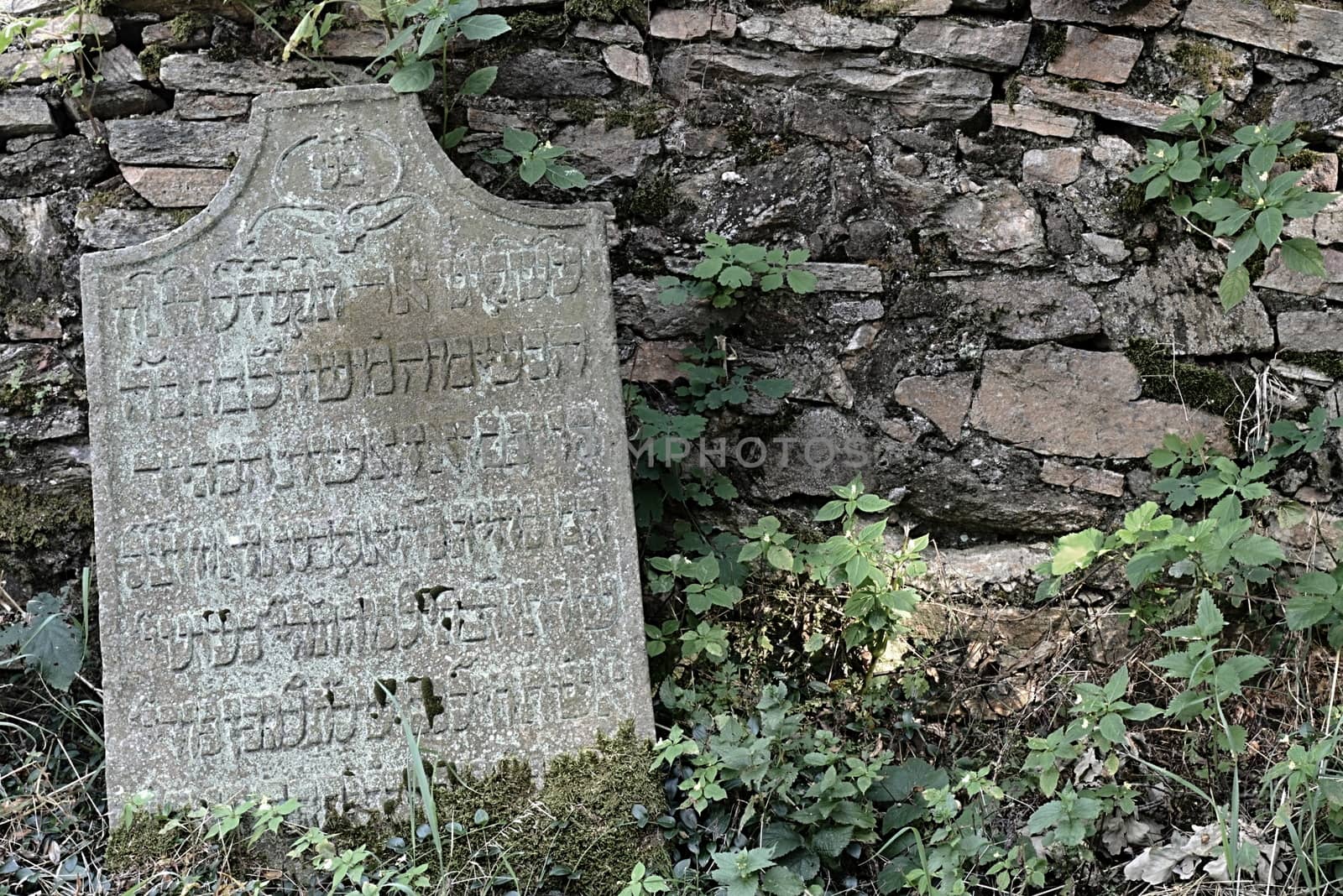 August 22, 2013, Divisov in Czech republic. Old jewish cemetry in Divisov . August 22, 2013, Divisov in Czech republic.