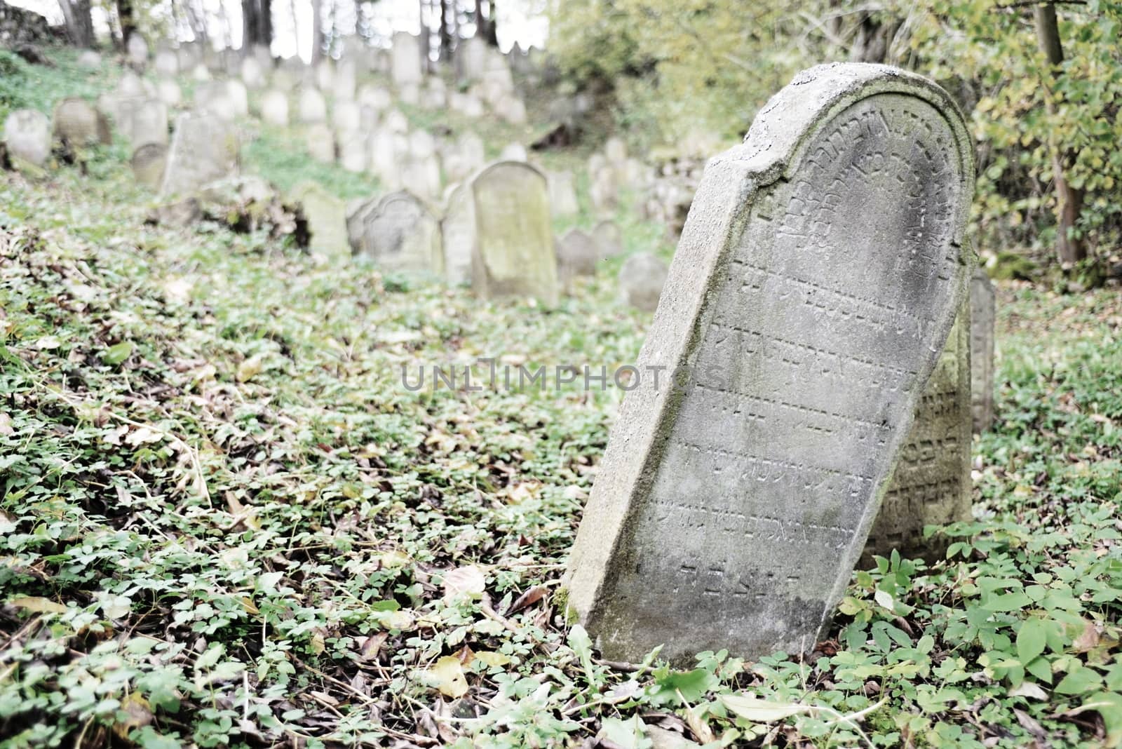 August 22, 2013, Divisov in Czech republic. Old jewish cemetry in Divisov . August 22, 2013, Divisov in Czech republic.