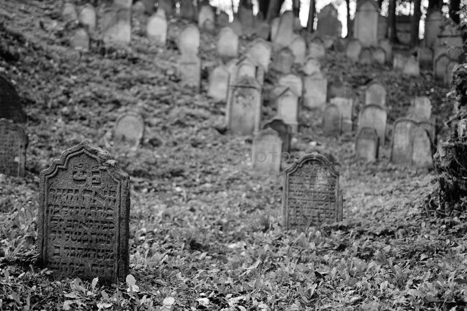 August 22, 2013, Divisov in Czech republic. Old jewish cemetry in Divisov . August 22, 2013, Divisov in Czech republic.
