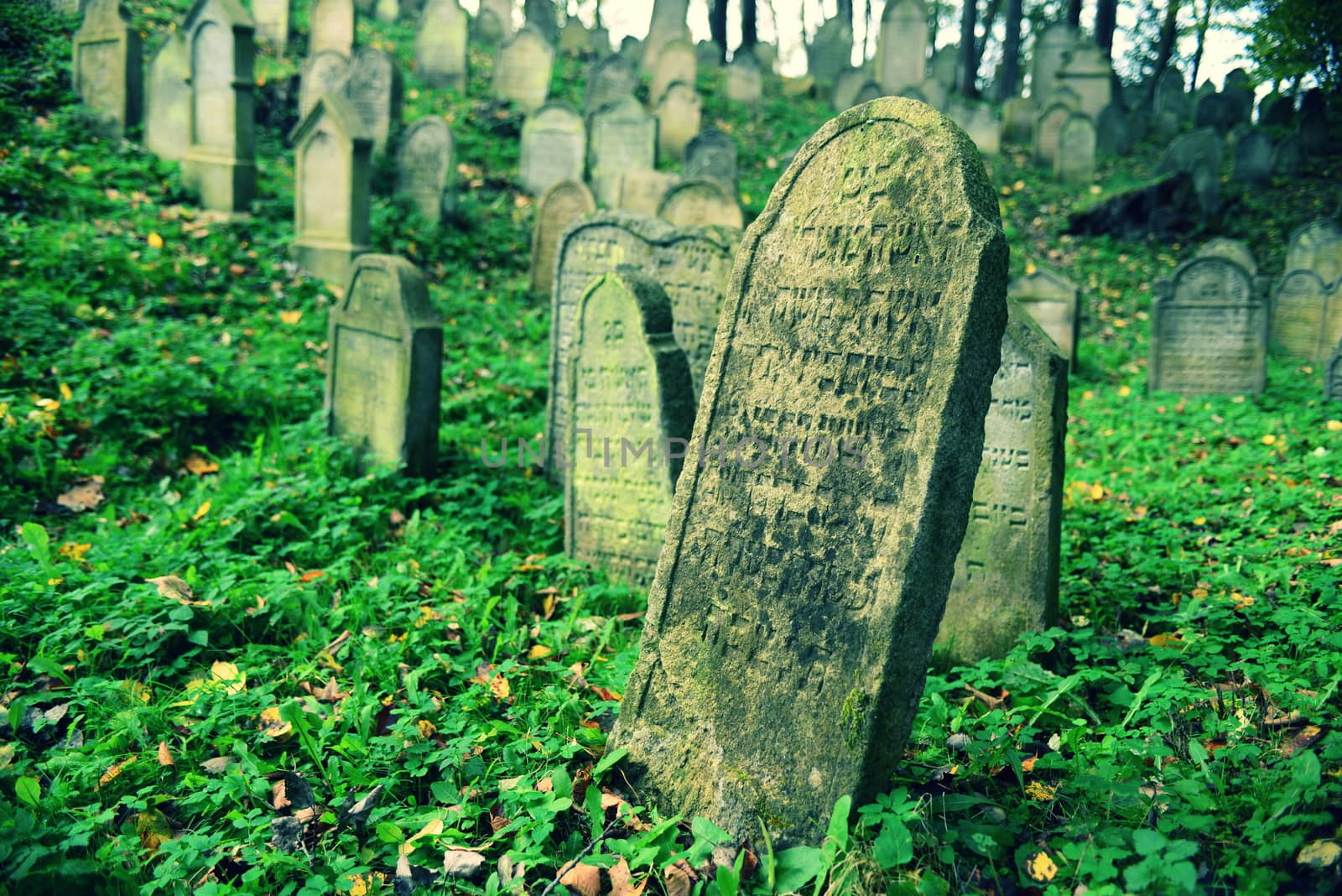 August 22, 2013, Divisov in Czech republic. Old jewish cemetry in Divisov . August 22, 2013, Divisov in Czech republic.