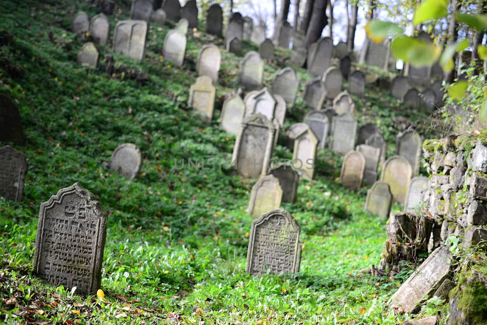 August 22, 2013, Divisov in Czech republic. Old jewish cemetry in Divisov . August 22, 2013, Divisov in Czech republic.