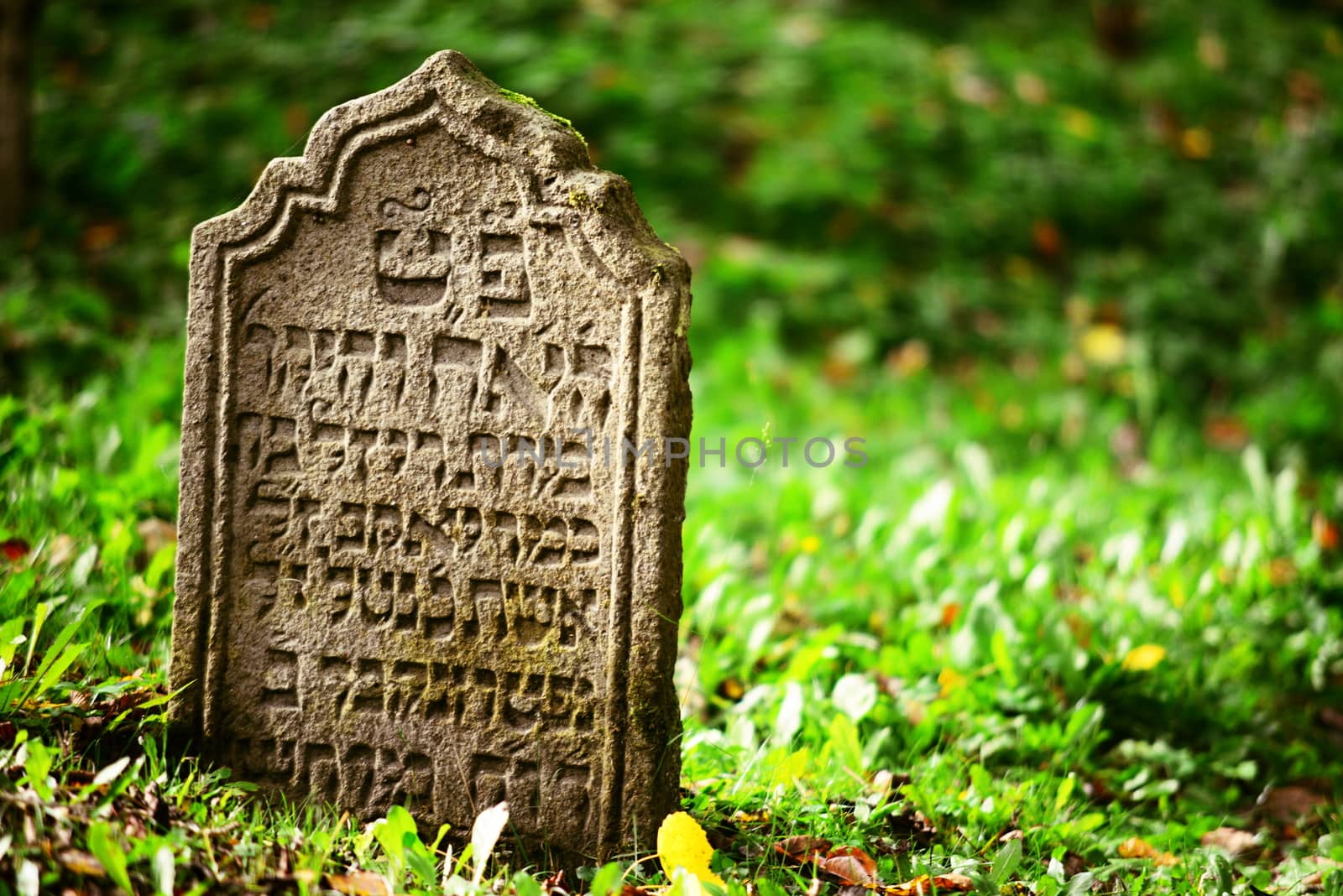 August 22, 2013, Divisov in Czech republic. Old jewish cemetry in Divisov . August 22, 2013, Divisov in Czech republic.