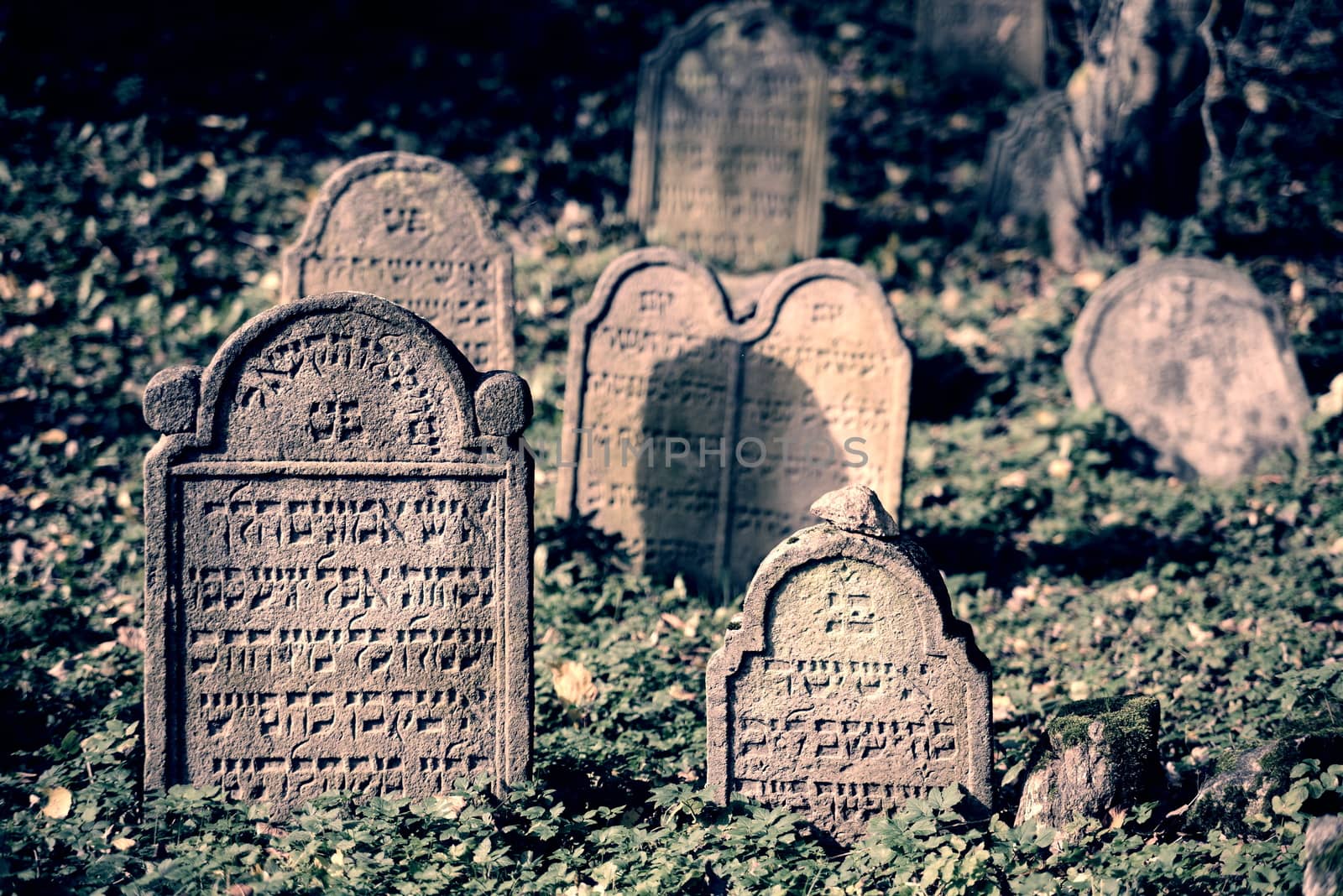August 22, 2013, Divisov in Czech republic. Old jewish cemetry in Divisov . August 22, 2013, Divisov in Czech republic.