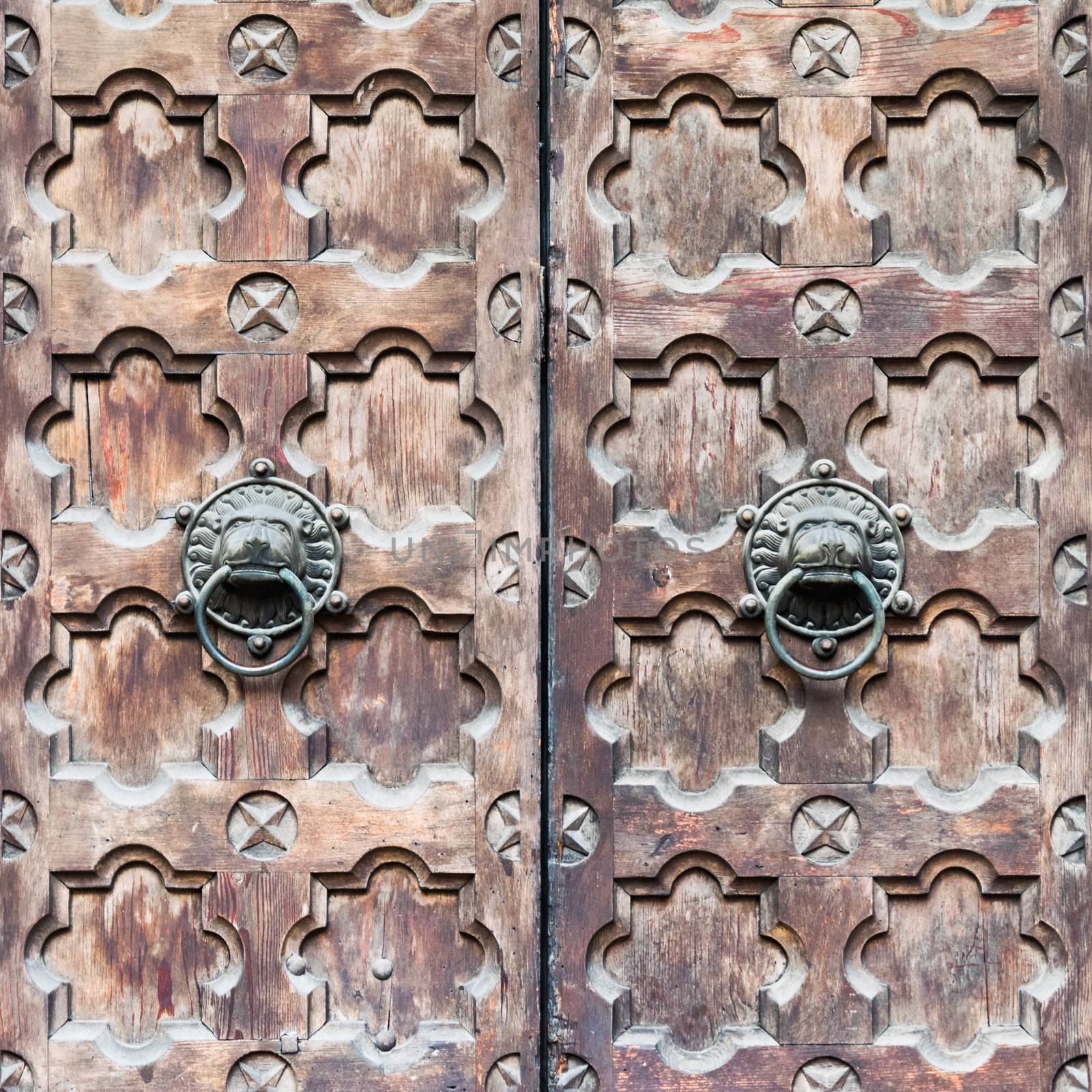 Detail of a wooden door with two knocker shaped a lion's head. by Isaac74