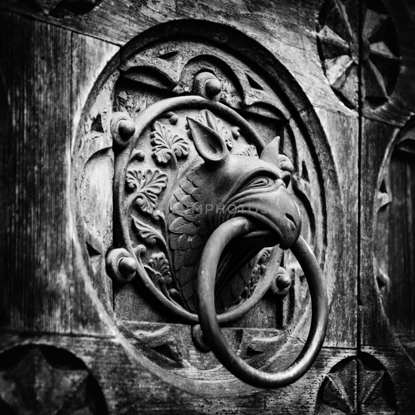 Antique door knocker shaped monster's head. by Isaac74