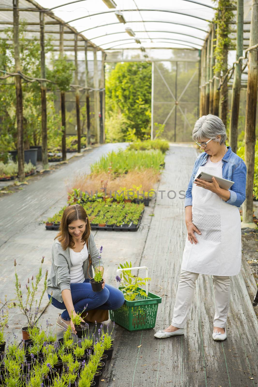 Beautiful mature florist helping a female customer to choose plants
