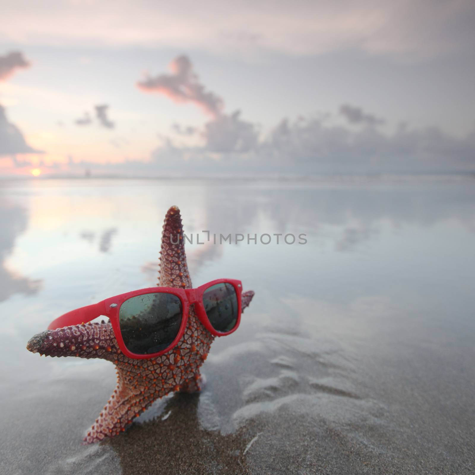 Starfish in sunglasses on summer beach at sunrise