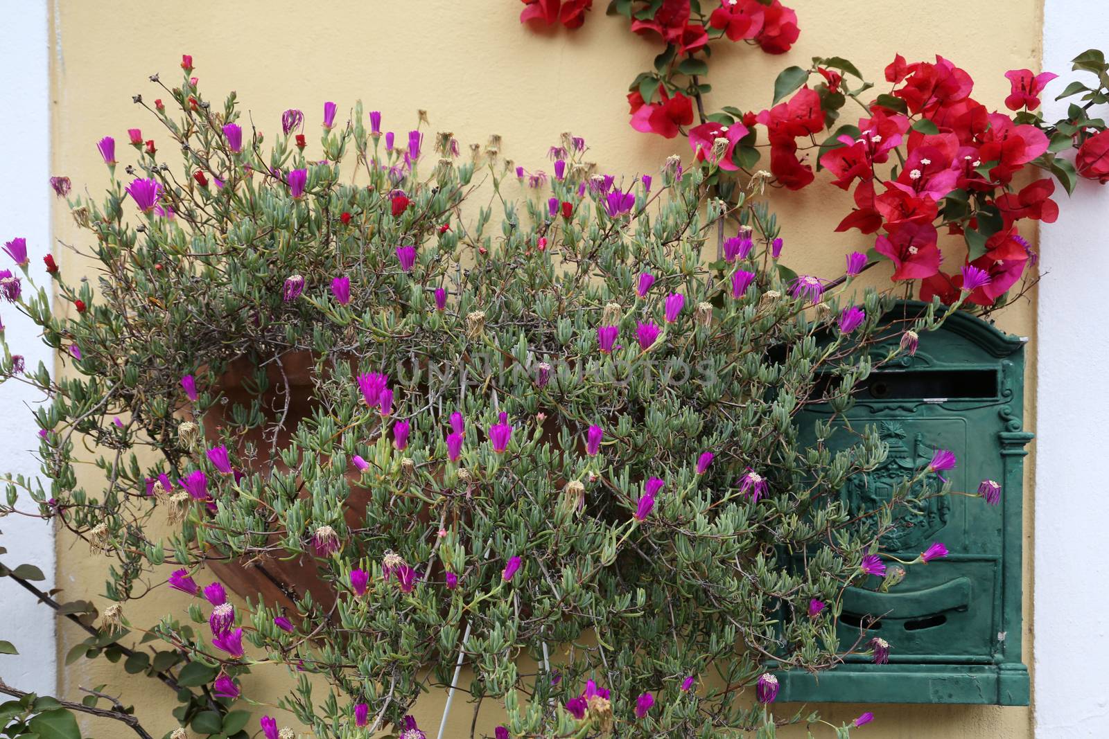 Beautiful old mailbox obscured by flowers