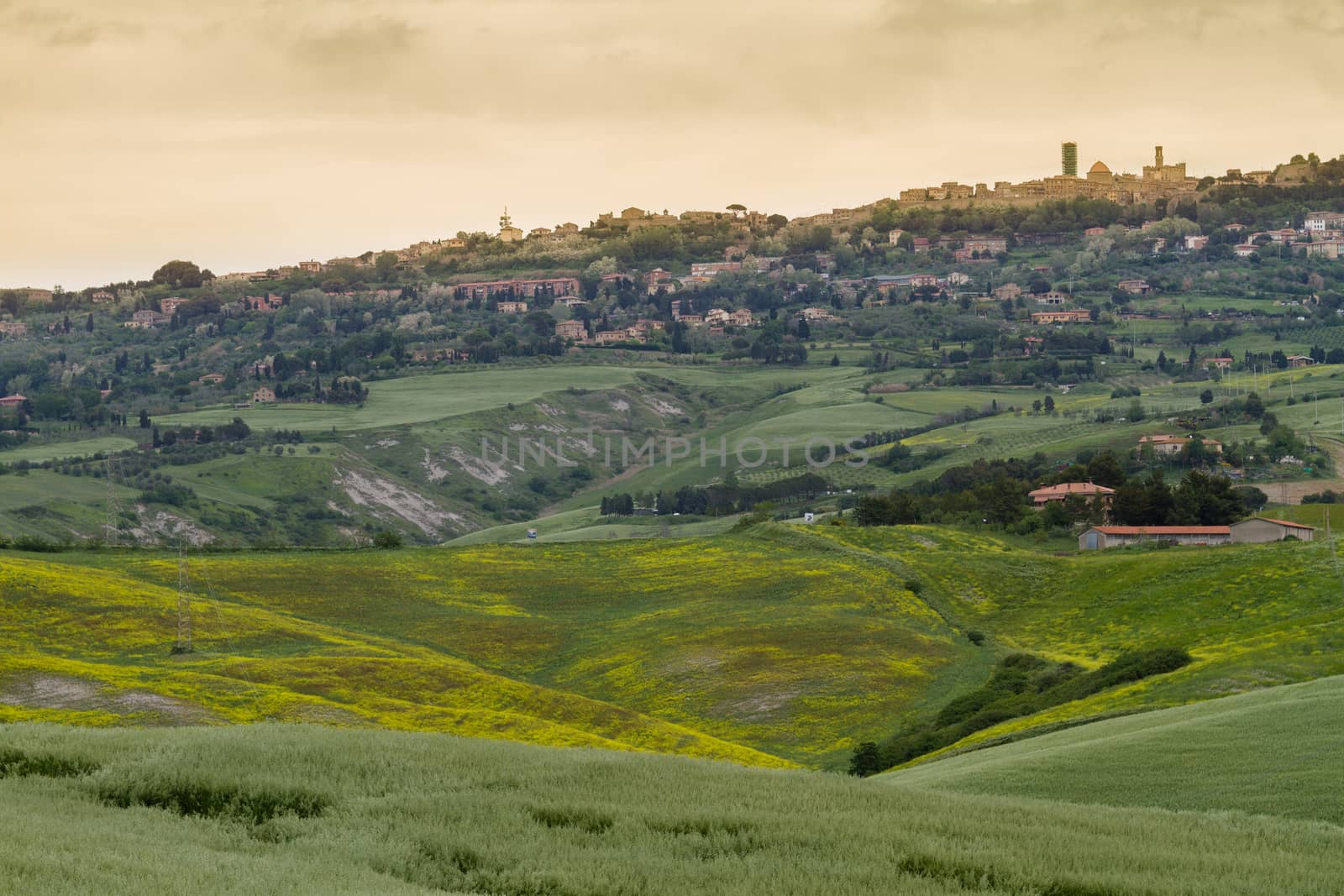 Tuscany landscape around Pienza, Val d'Orcia, Italy by fisfra