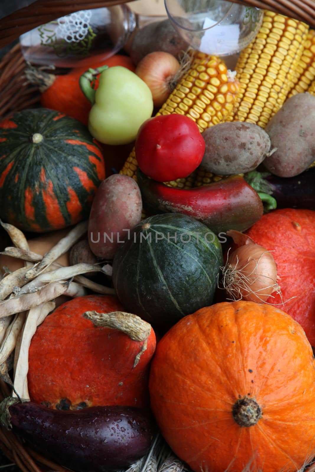 Autumn Harvest