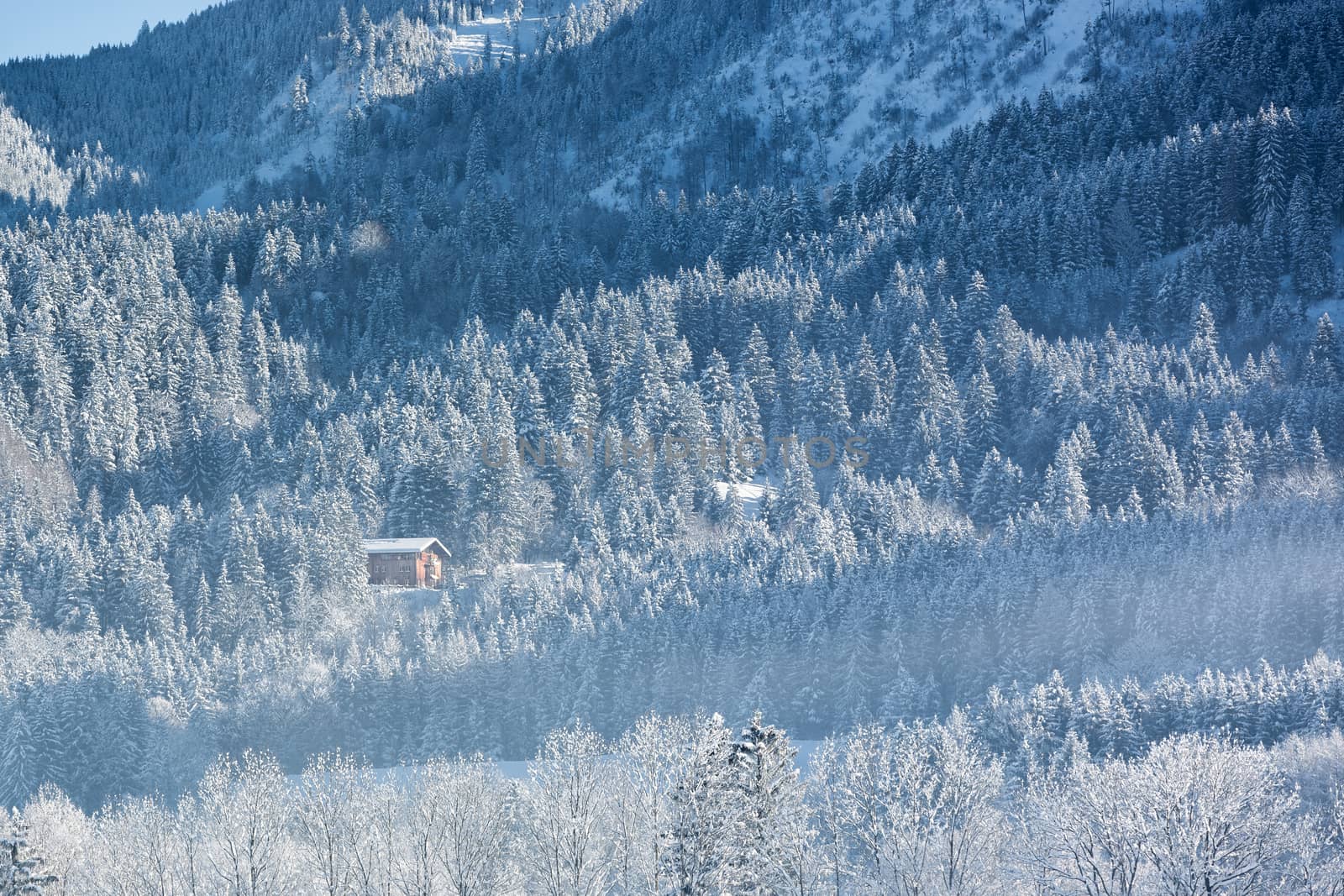 Alpine hut in wintery forest, Bavaria, Germany by fisfra