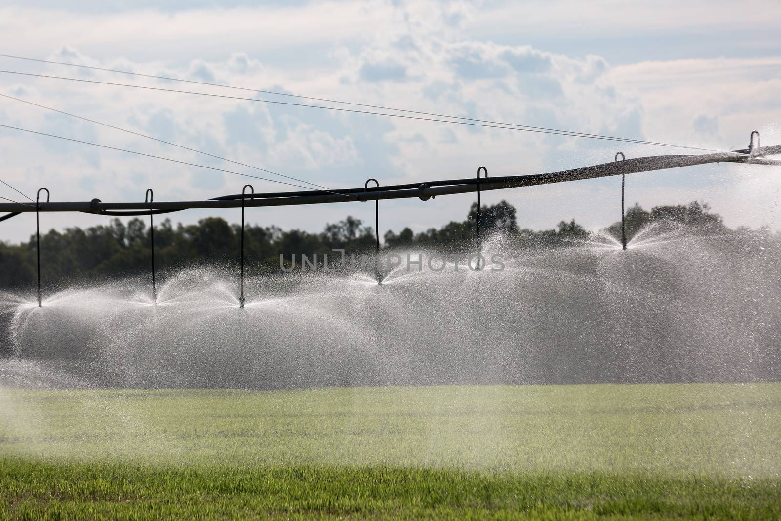 A Lateral Move Irrigation System, sometimes called a Linear Move, Wheelmove or Side Roll System, irrigating crops in Australia. These systems are often 500 meters to 1000 meters long.