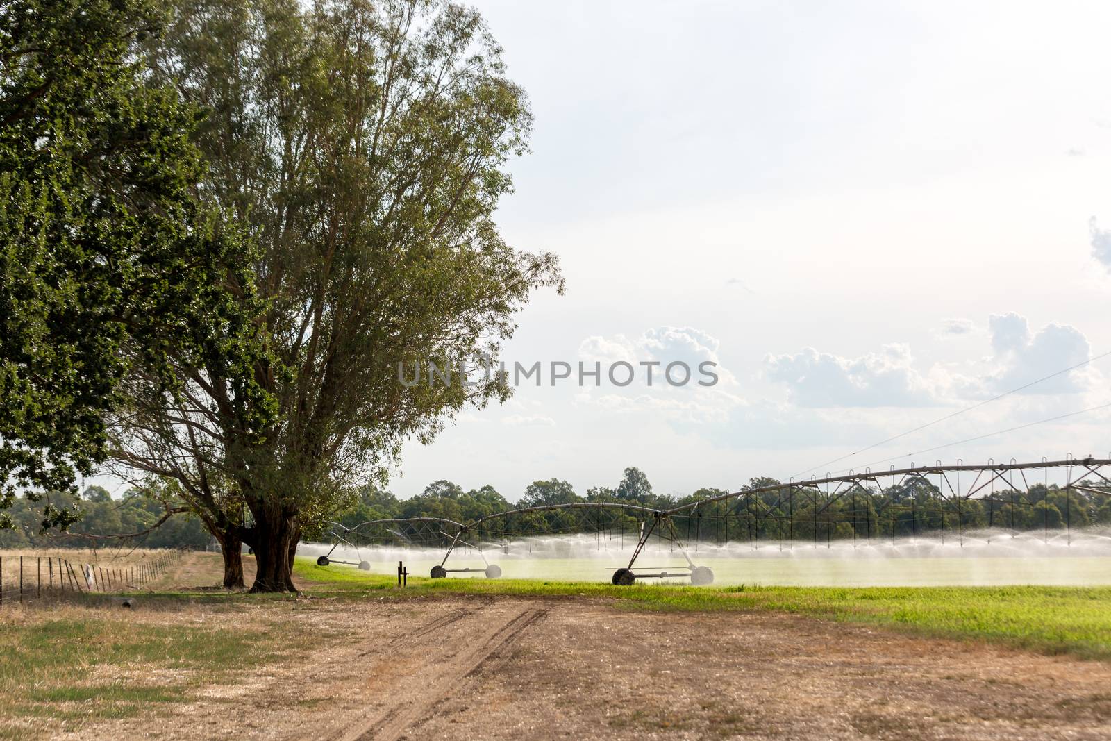 A Lateral Move Irrigation System, sometimes called a Linear Move, Wheelmove or Side Roll System, irrigating crops in Australia. These systems are often 500 meters to 1000 meters long.