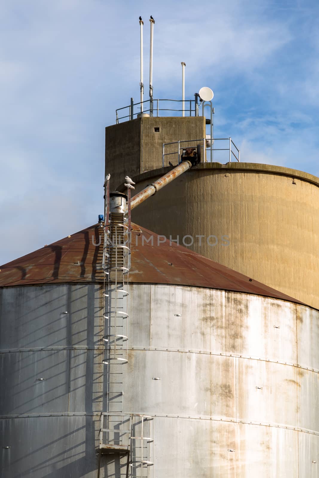 Steel grain Silos by davidhewison