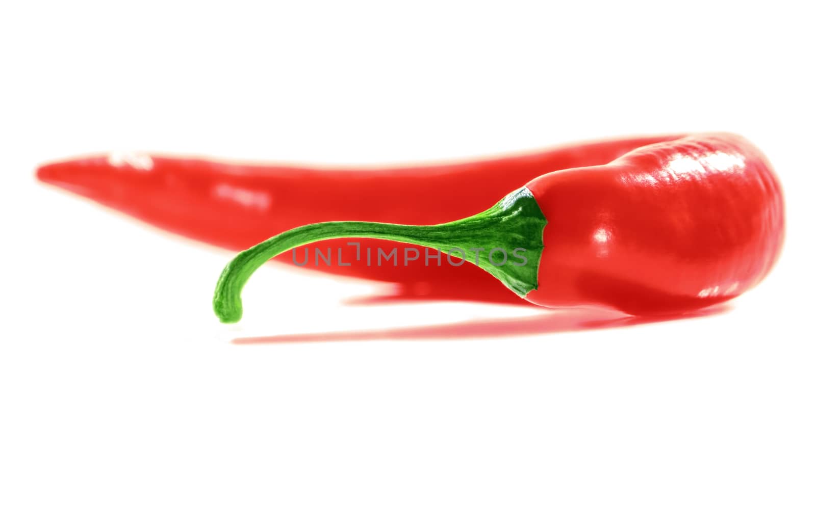 Fresh Red Hot Chili Pepper. White background. Soft Focus view.