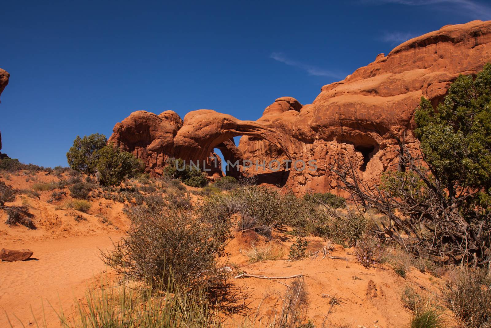 Double Arch, Arches National Park. Utah. USA